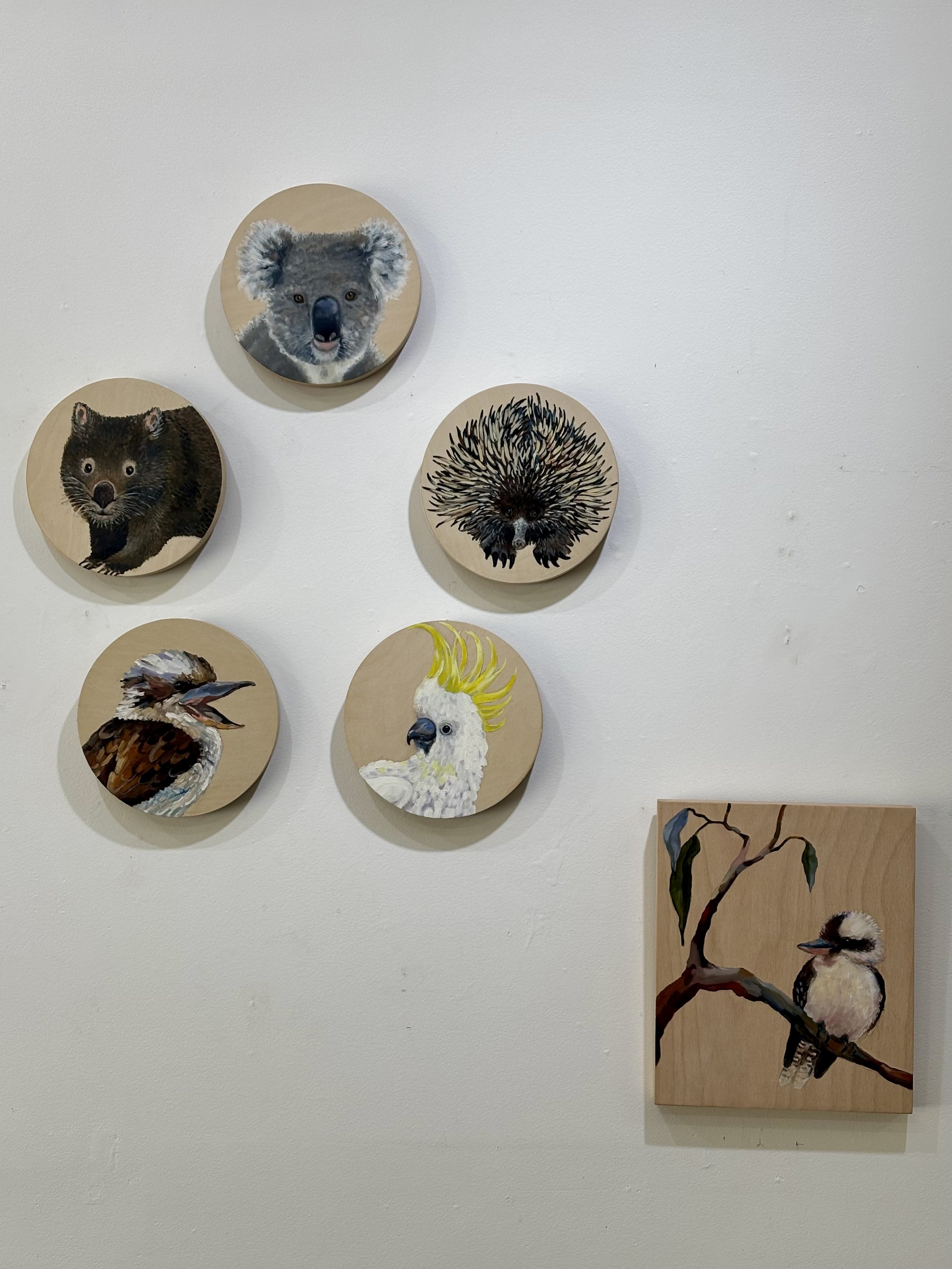 Baby animal portraits (20cm) in situ gallery