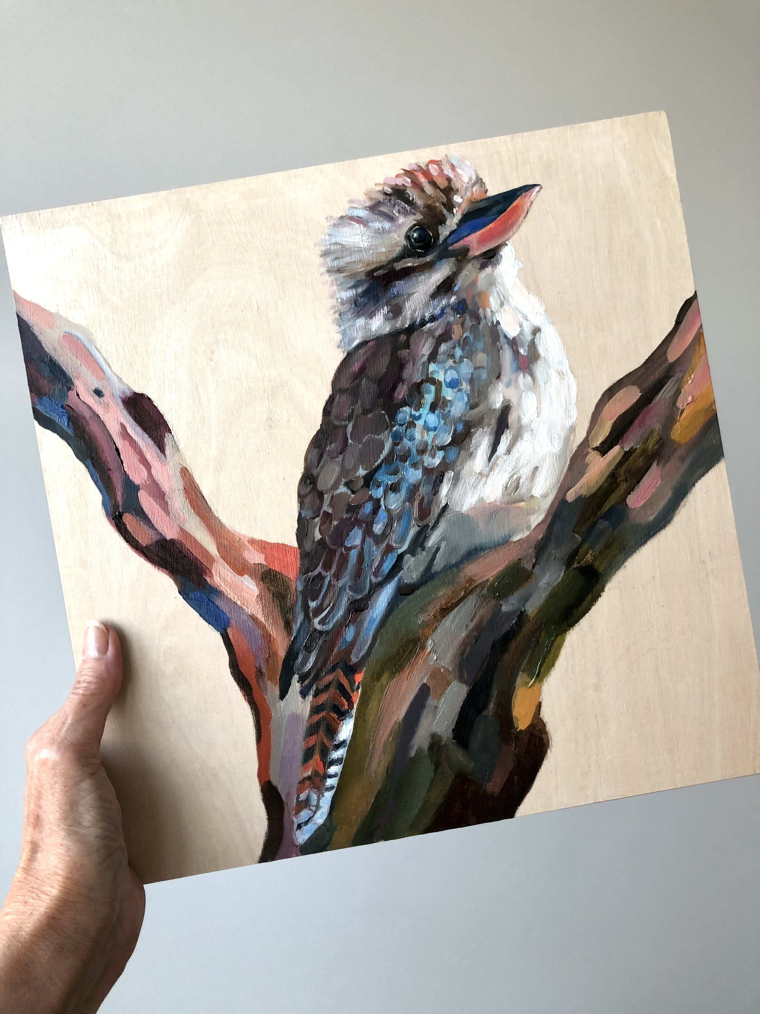 Kooka #4