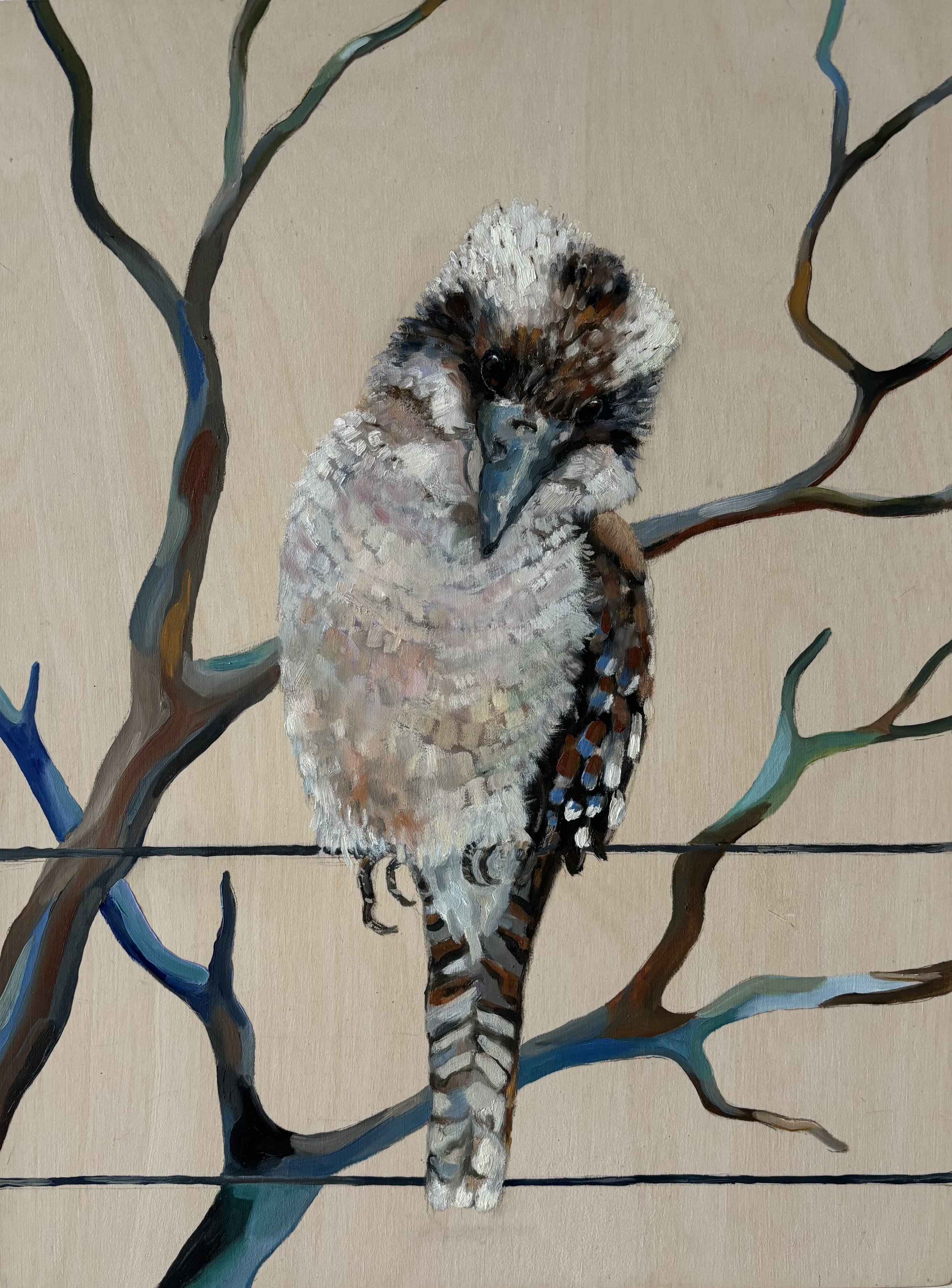 'Kookaburra sits #7' oil on timber panel
30cm x 40cm Ready to hang $440