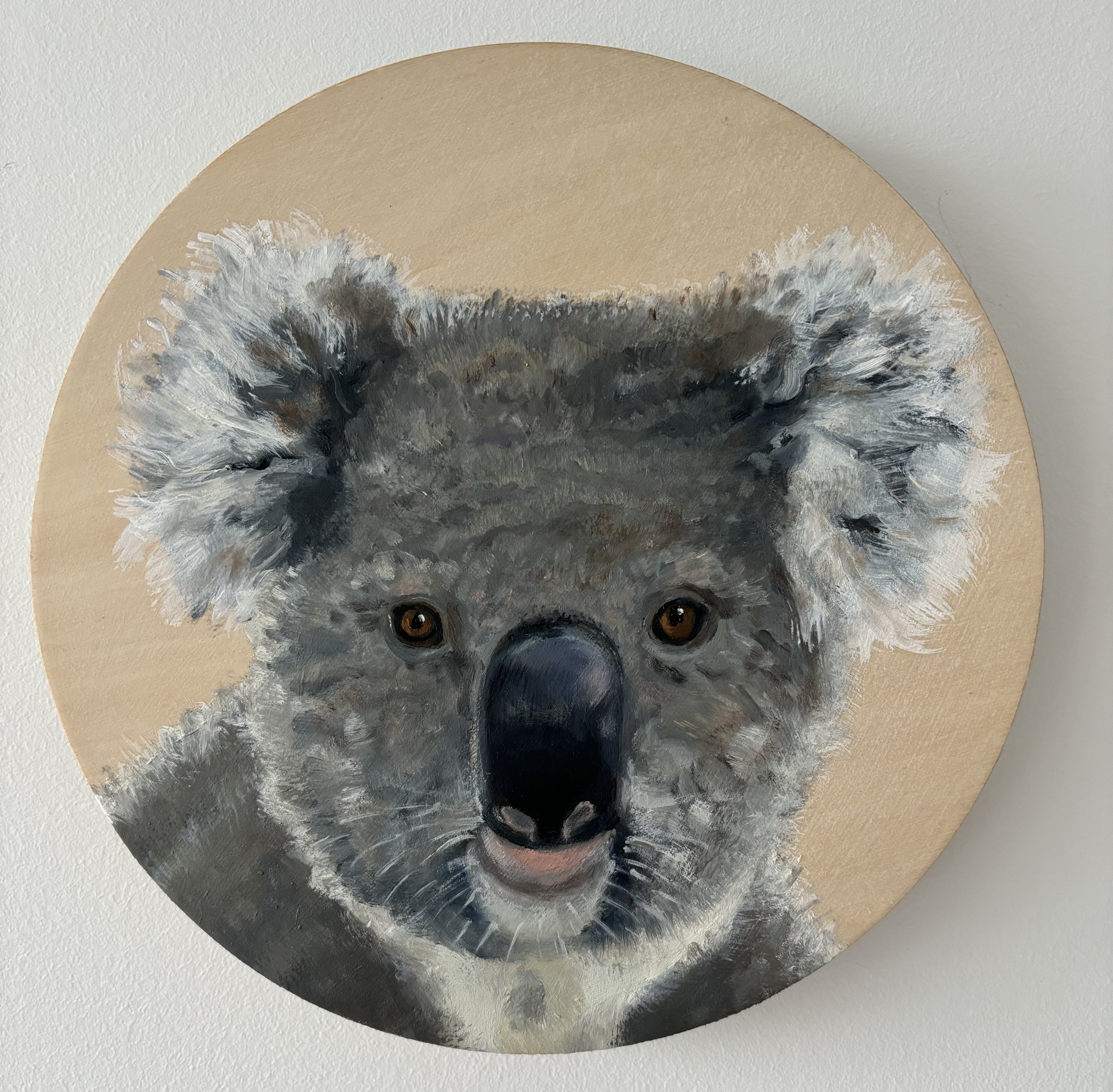 'Koala portrait' Oil on wooden panel
20cm diameter. Ready to hang $160 SOLD