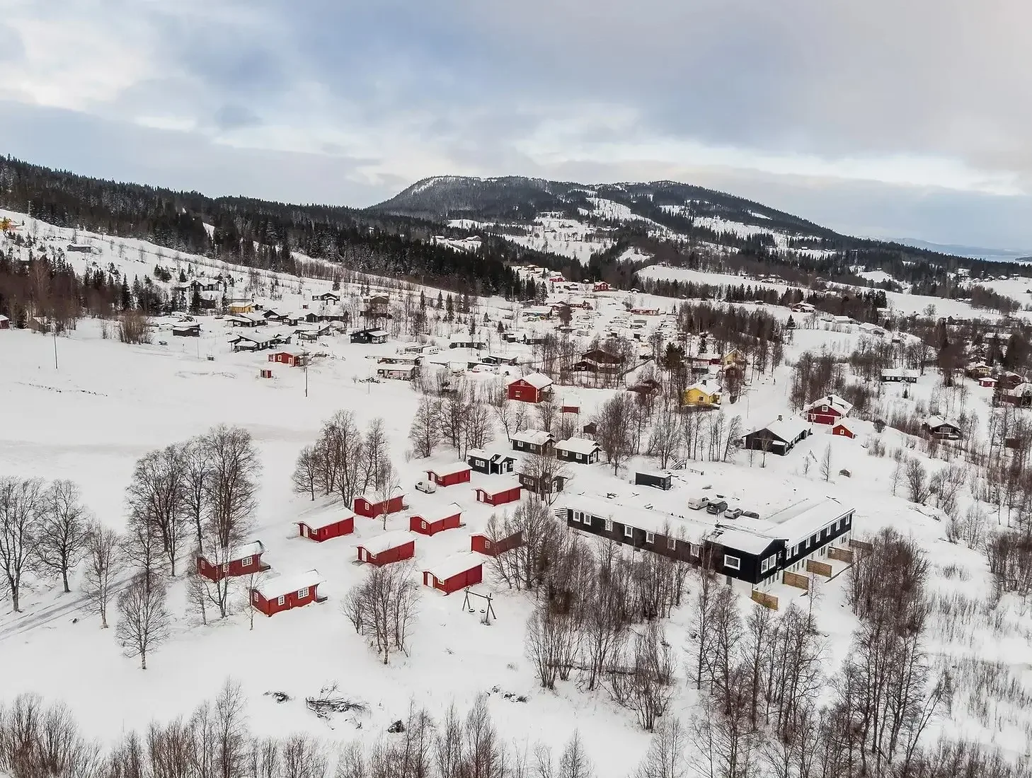 En snötäckta landsbygd med flera små röda och svarta hus samt några större byggnader, omgivna av många träd i en vinterlandskapsscen.