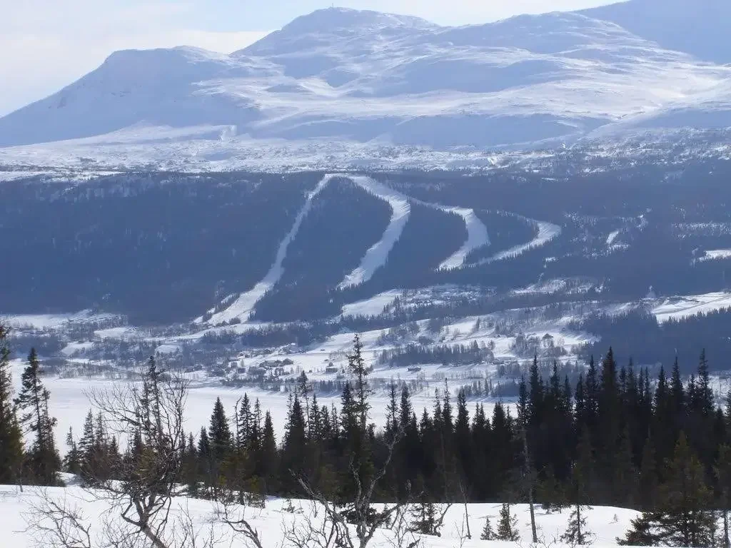 Flygfoto över Husås skidbackar på Åreskutans baksida med pister genom skog.