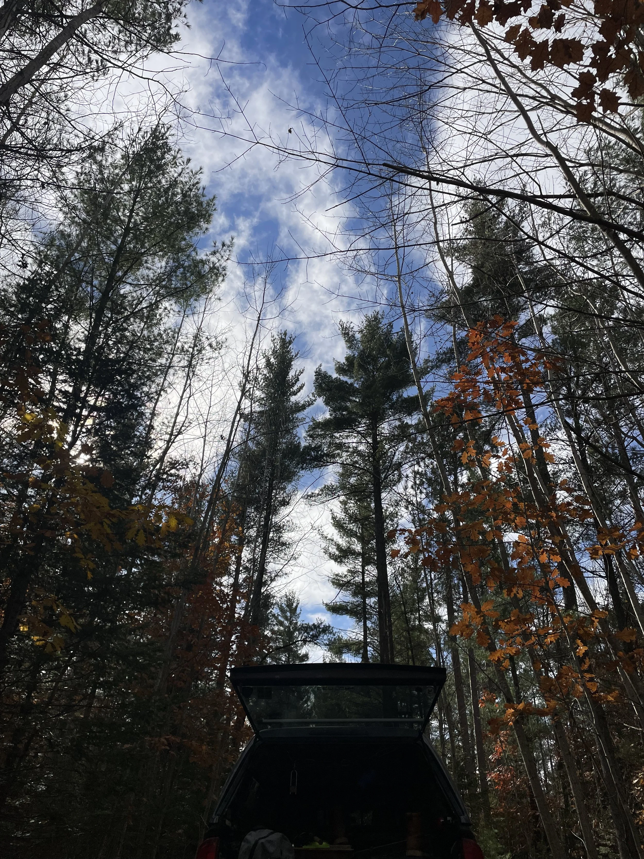 What I learned from the internet