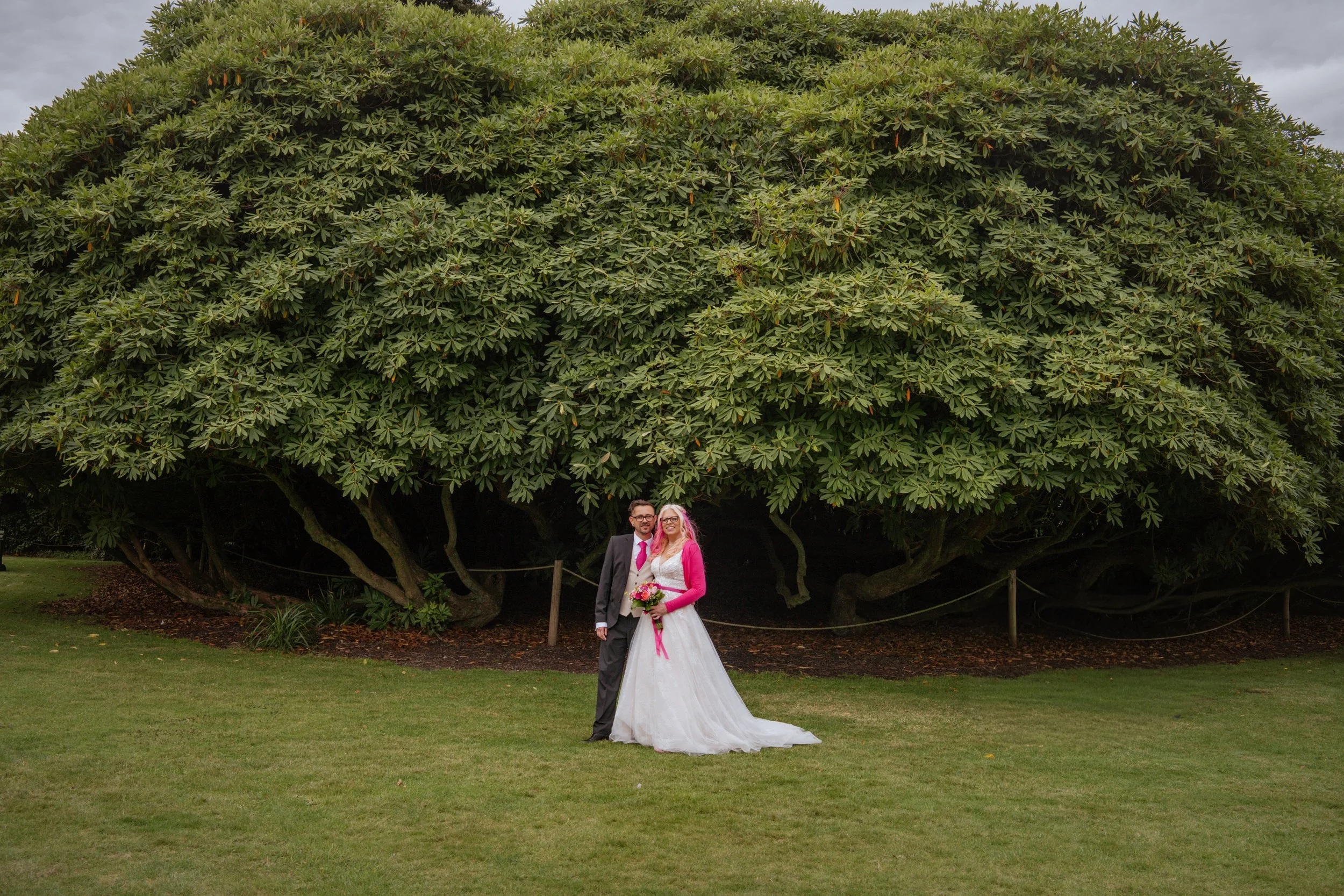 A bride and groom in wedding attire standing on a grassy field in front of a large, lush green tree. The bride is holding a bouquet of flowers and wearing a white gown with pink accents, while the groom is dressed in a dark suit with a pink tie.