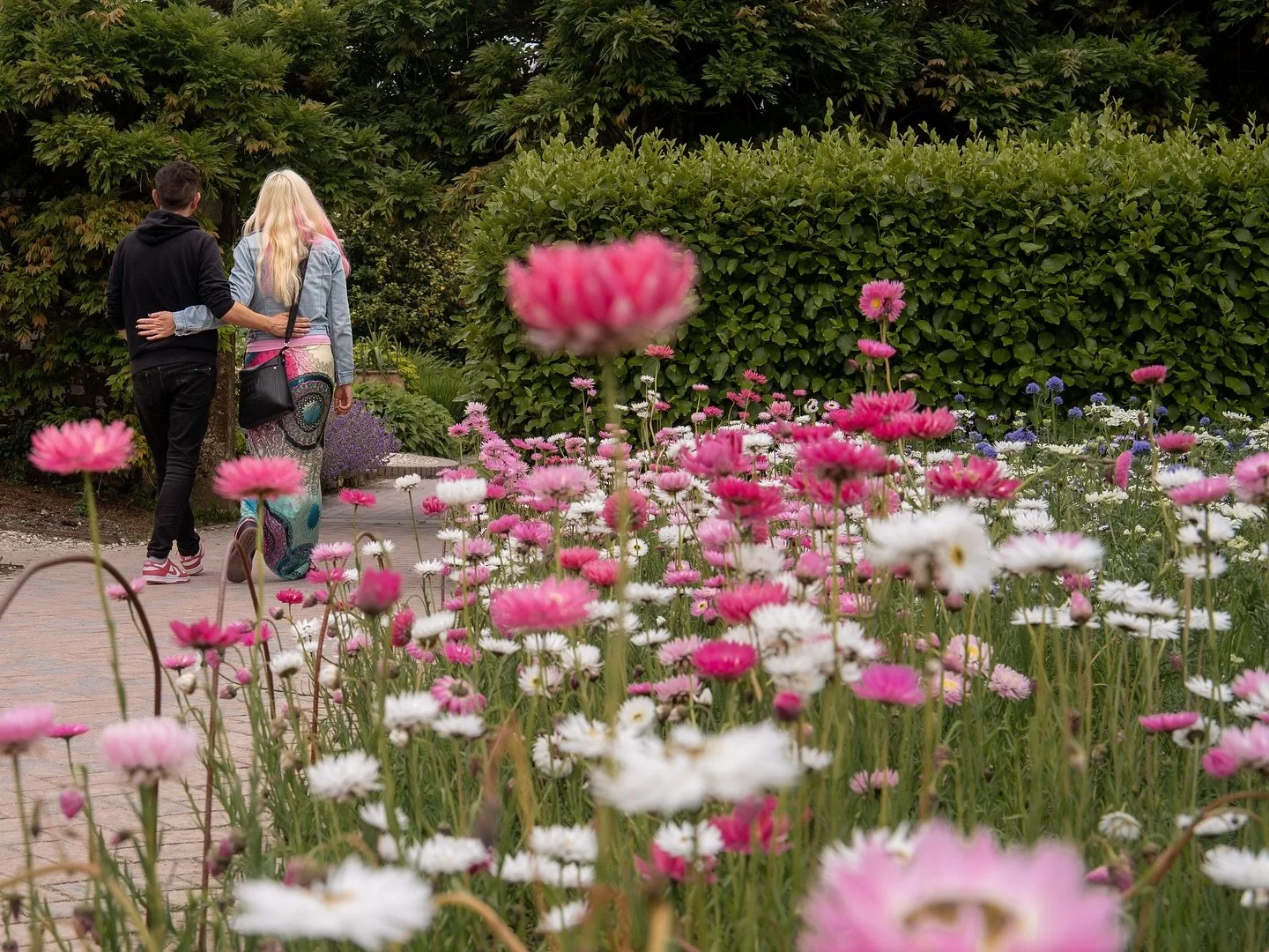 Love in full bloom 
🌺
We love capturing our couples ahead of their wedding day, and helping them feel more confident in front of the cameras&hellip; Reach out for your pre-wedding shoot
🎥 
Very excited for this wedding @heligangardens