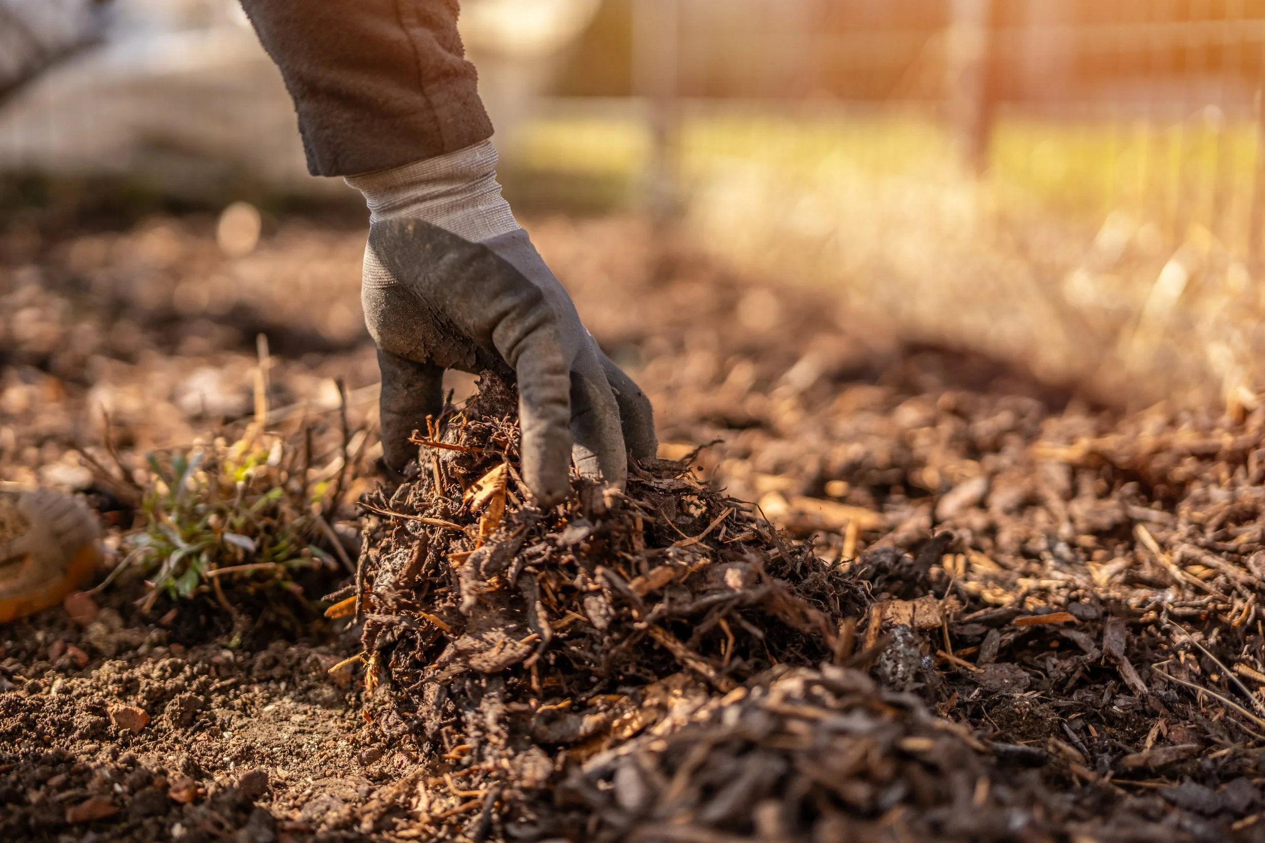 Close-up of a person planting a seed or seedling into dark soil, with sunlight illuminating the scene.