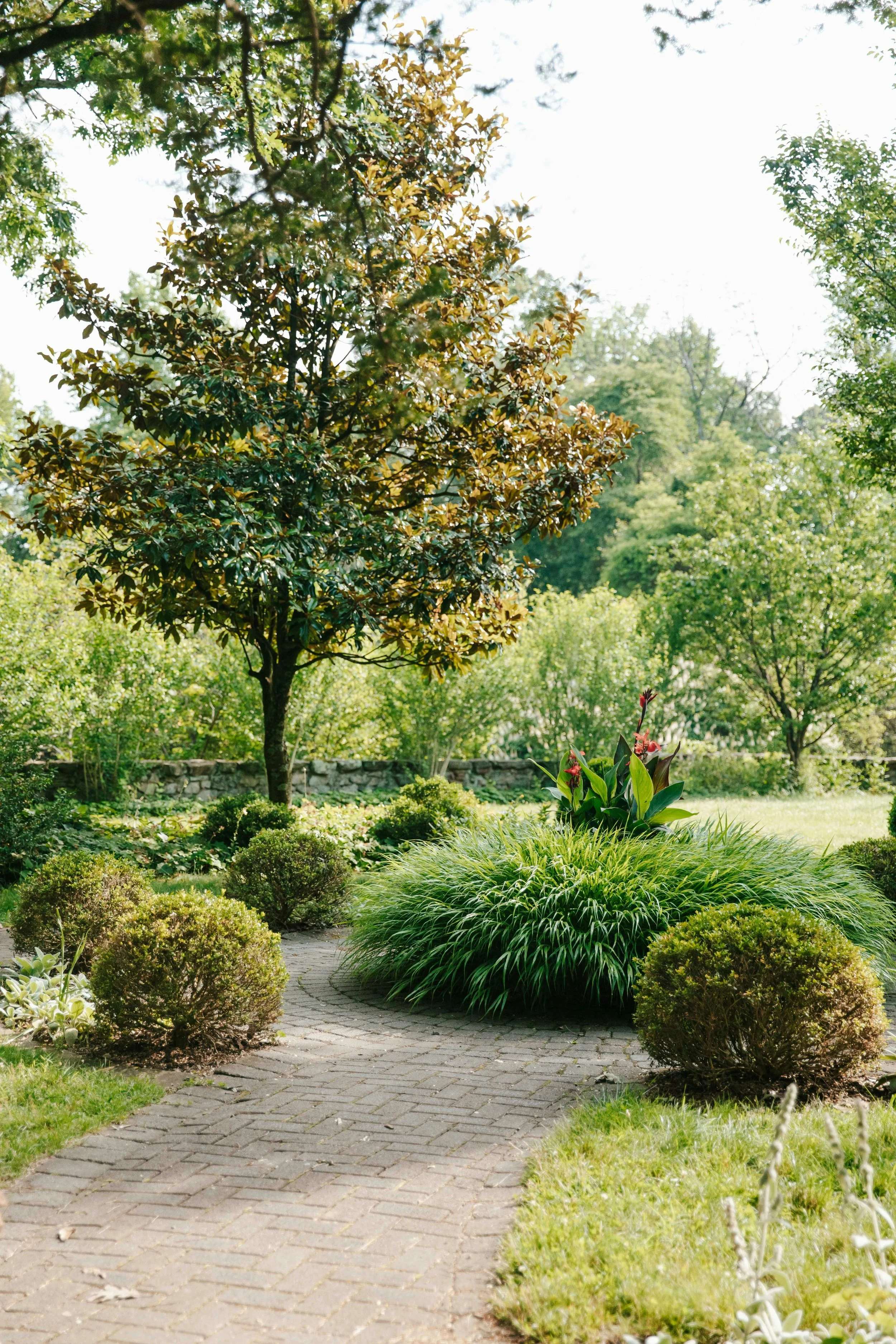 A lush green garden with a winding brick pathway, surrounded by various bushes, small trees, and vibrant plants, under bright daylight.