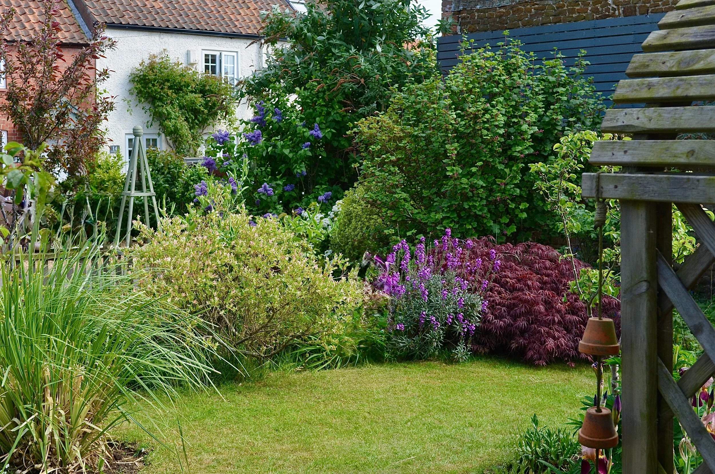 A lush garden with various flowering plants and shrubs, a small green grassy area, a blue fence, and residential houses with tiled roofs in the background.