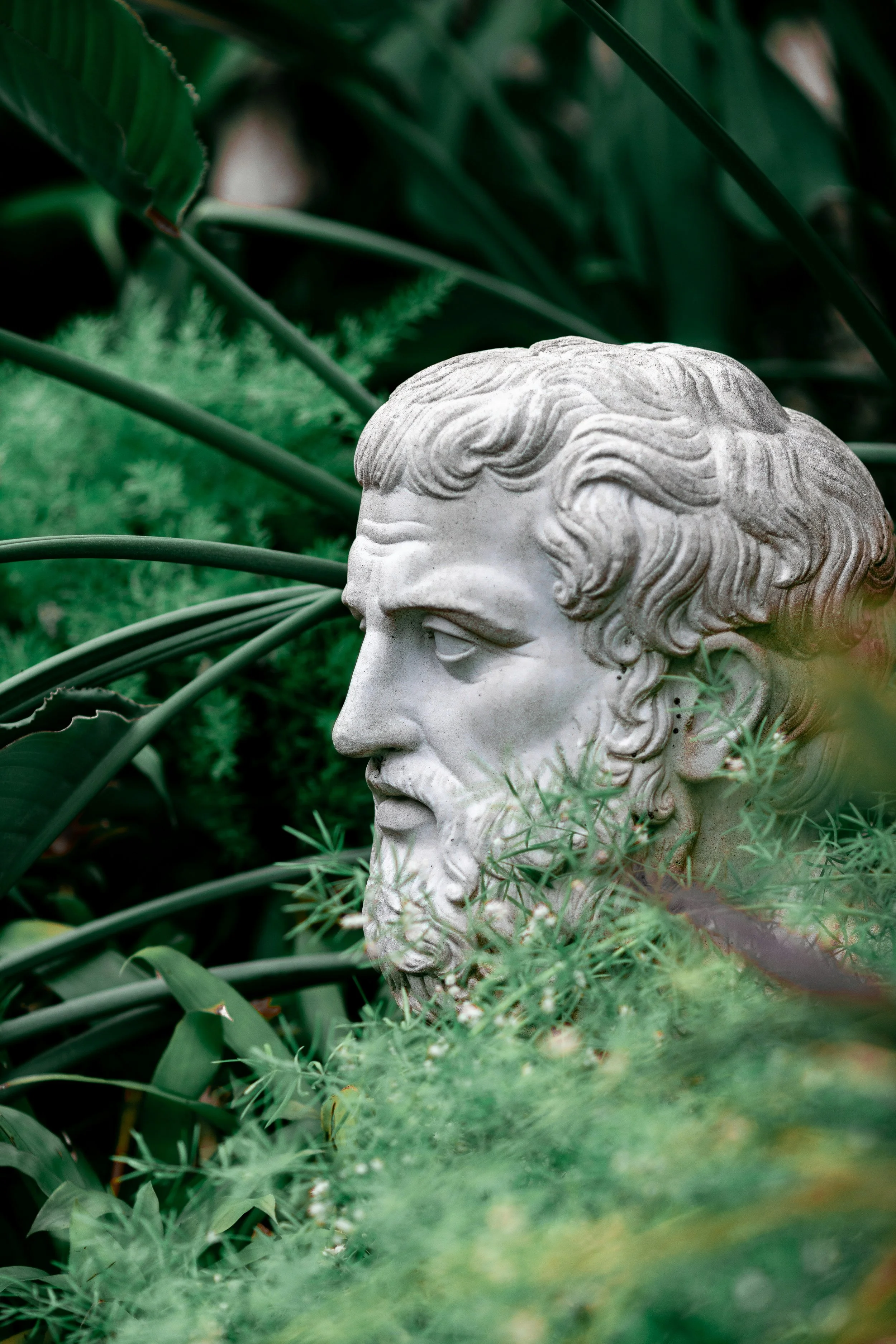 A stone sculpture of a bearded man with wavy hair, surrounded by lush green plants.