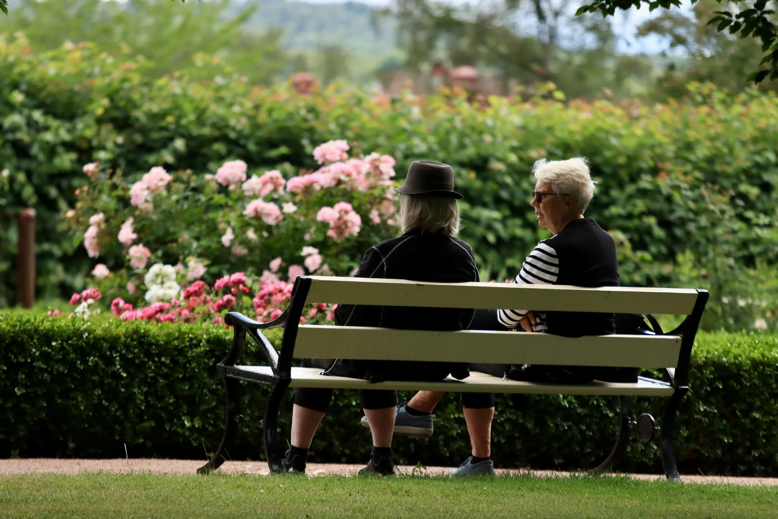 Two elderly women sitting on a park bench, engaged in conversation, with lush greenery and blooming pink flowers in the background.