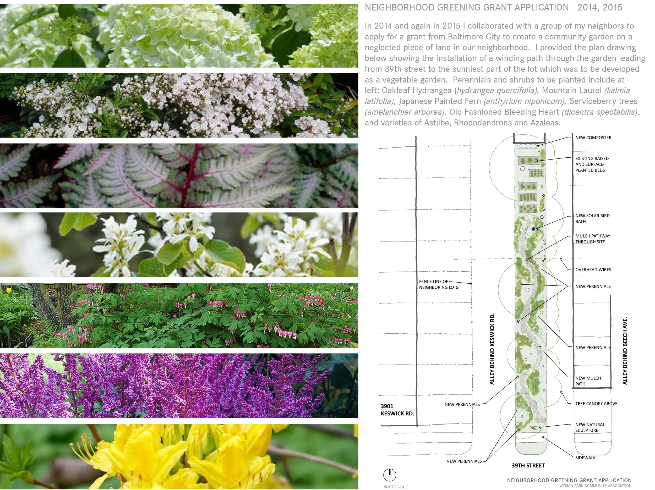 Alley Greening Grant.jpg