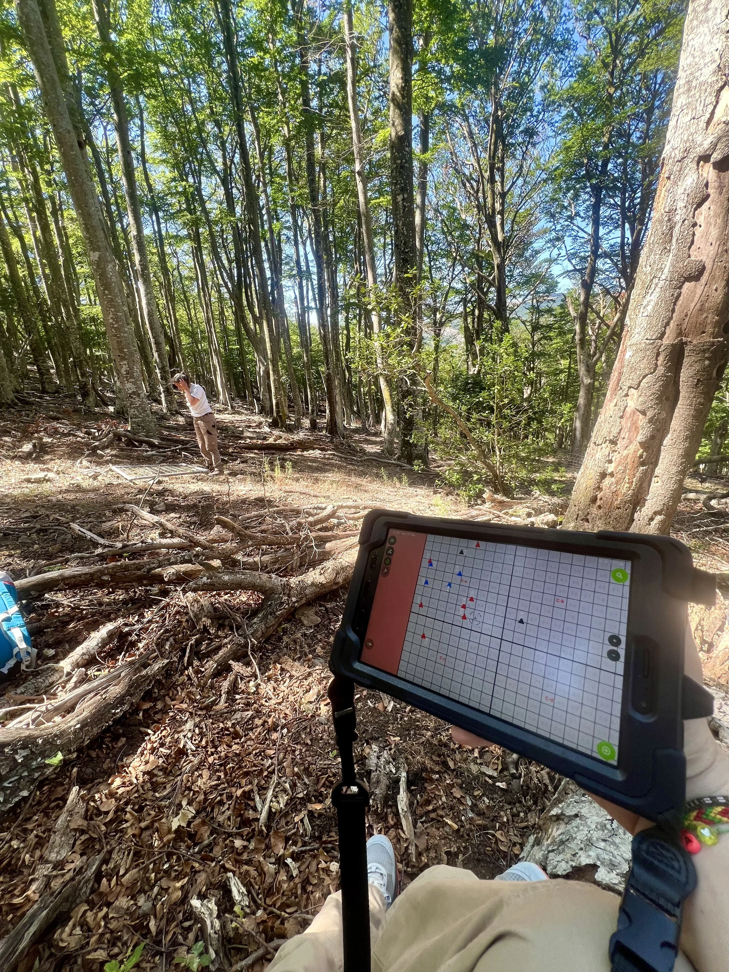Person sitting on a fallen tree in a forest, holding a smartphone with a GPS or mapping app open, showing red, blue, and black traffic silhouette icons on a grid background, with a person standing in the distance among green trees.