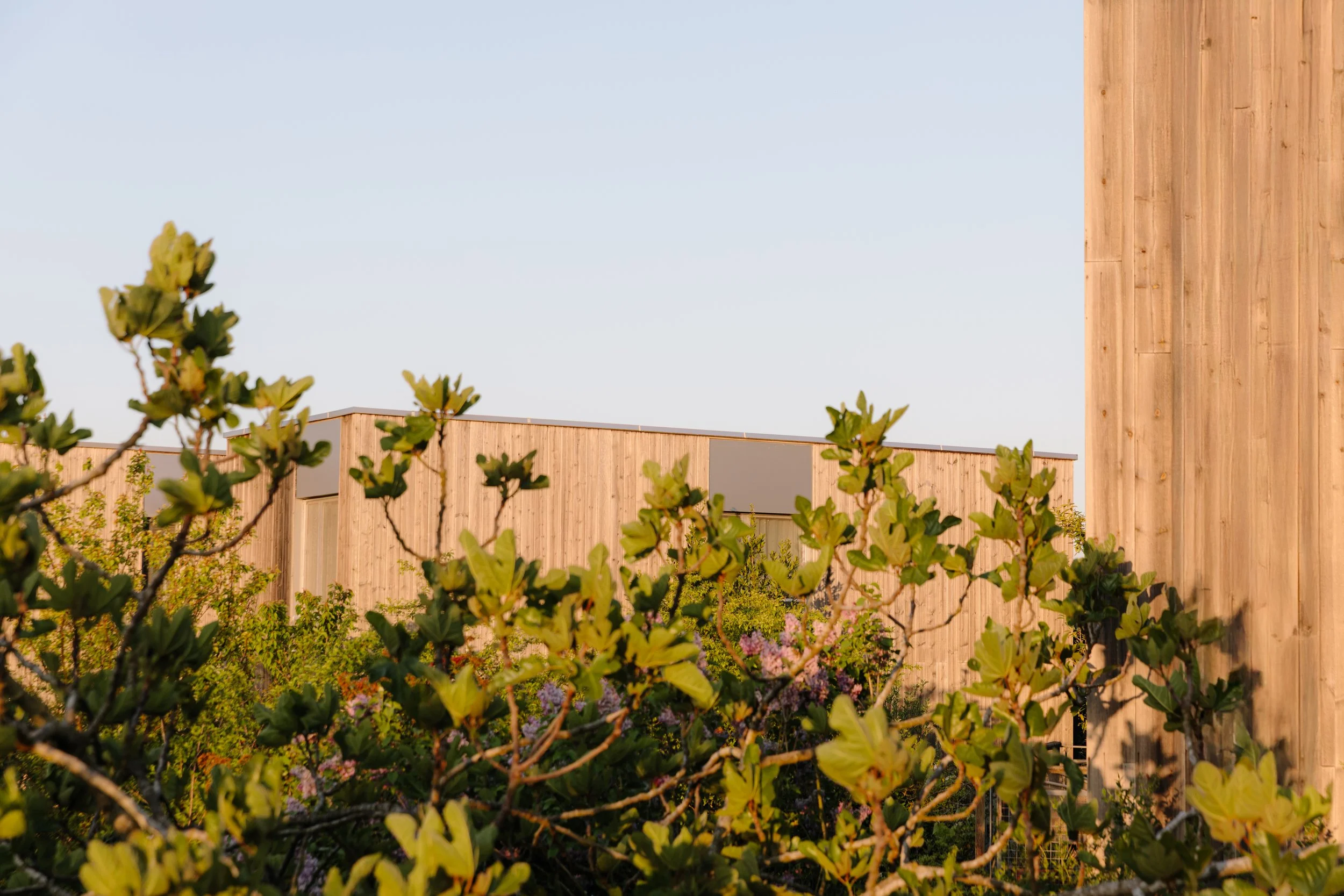 outdoor image of an ecological hotel taken at morning golden hour