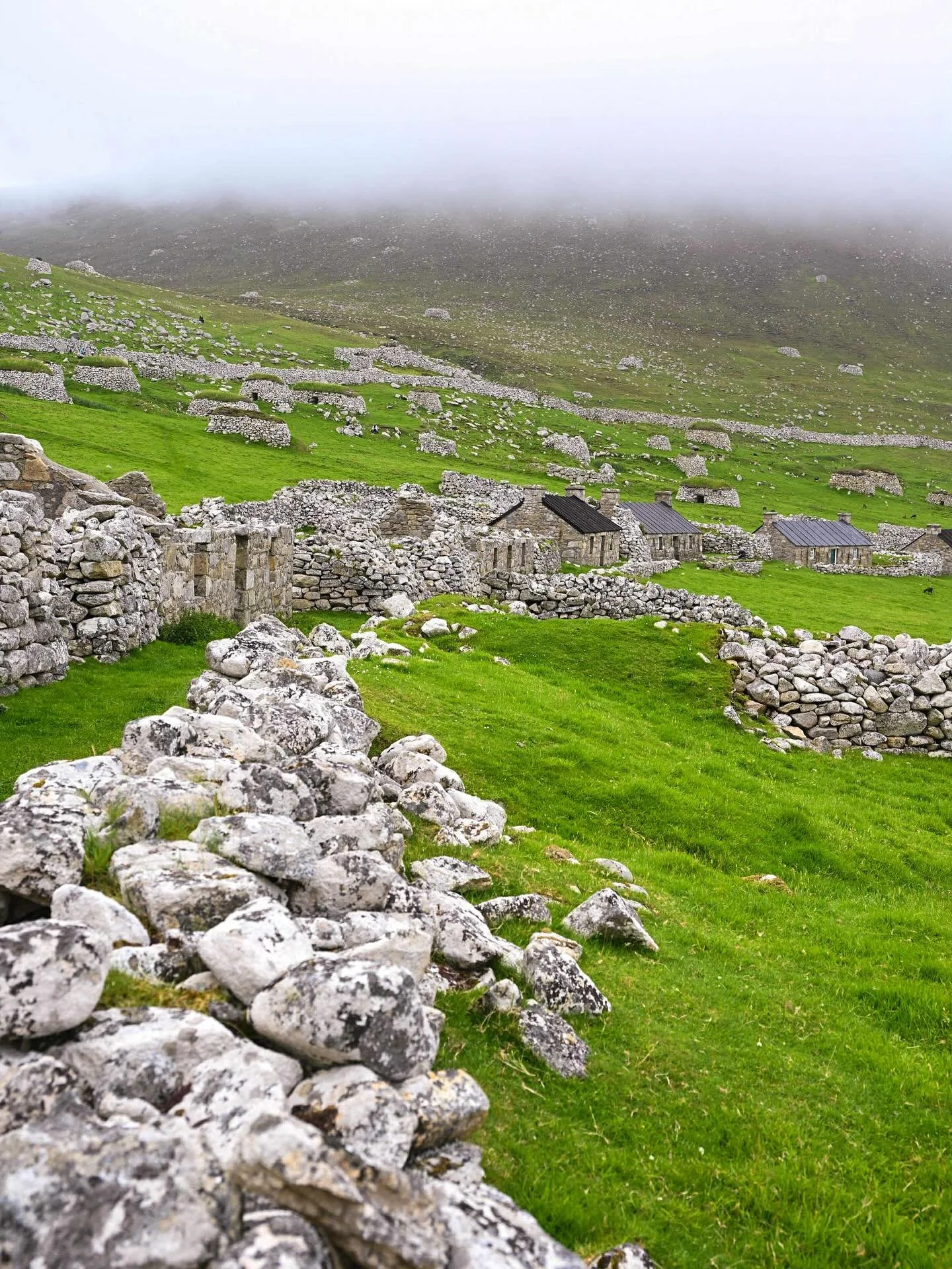 Fantastic day at St Kilda yesterday! Extra Kilda trip added on Monday as our Friday trip is now full!
Head to the website to book!
Great photos by @wildcoast_hebrides 

#isleoflewis #scotland #visitscotland #outerhebrides #hebrides #uig #travelscotla