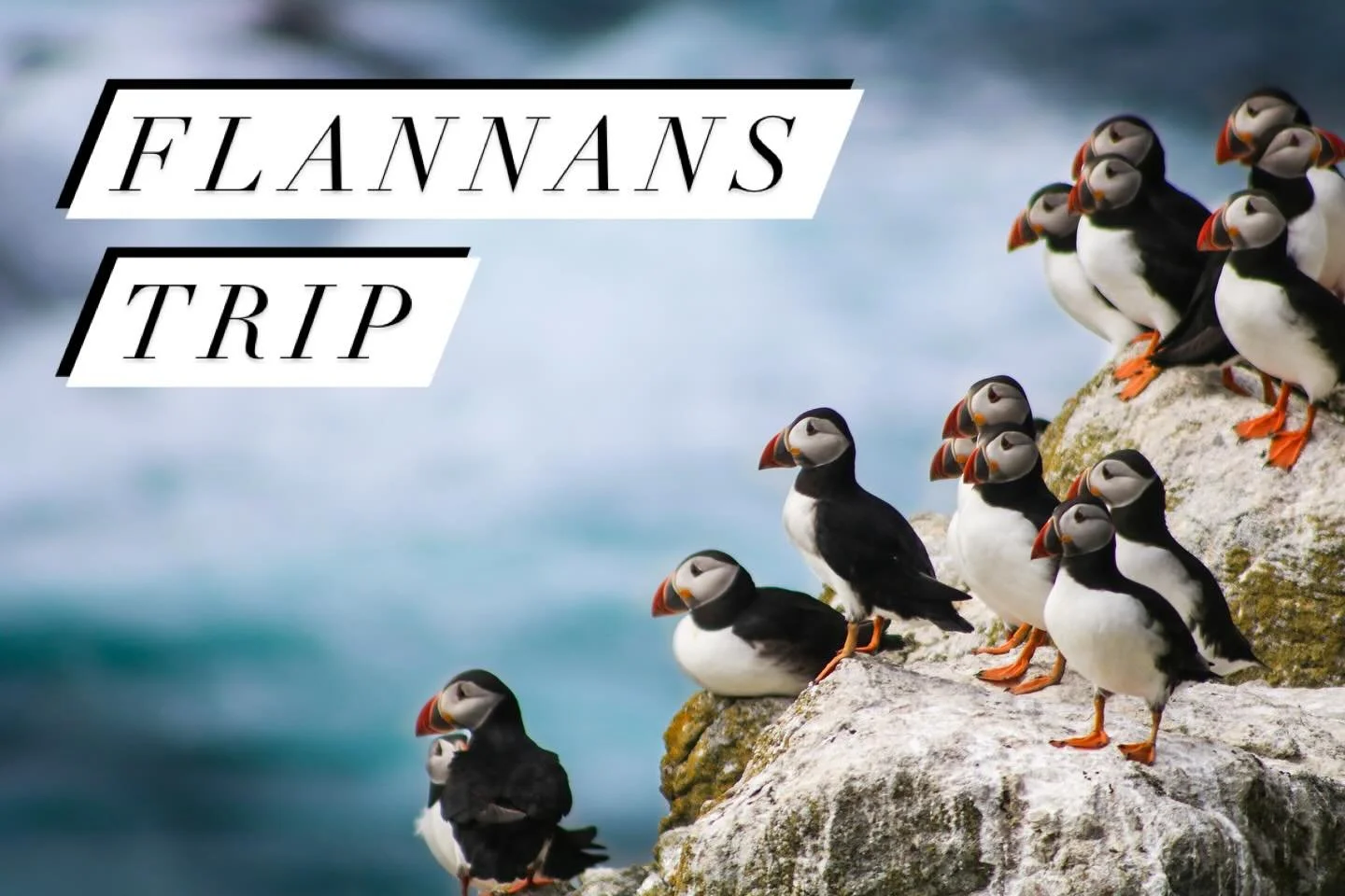 Flannan Isles trip!
With a good forecast for this week I&rsquo;ve added a special trip to the Flannans. This is scheduled for Tuesday, head to the website to book!

#isleoflewis #scotland #visitscotland #outerhebrides #hebrides #uig #travelscotland #