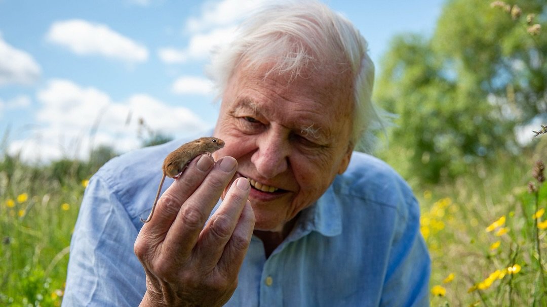 Wishing Sir David Attenborough a very happy 100th birthday!

#davidattenborough #nature #bbcearth