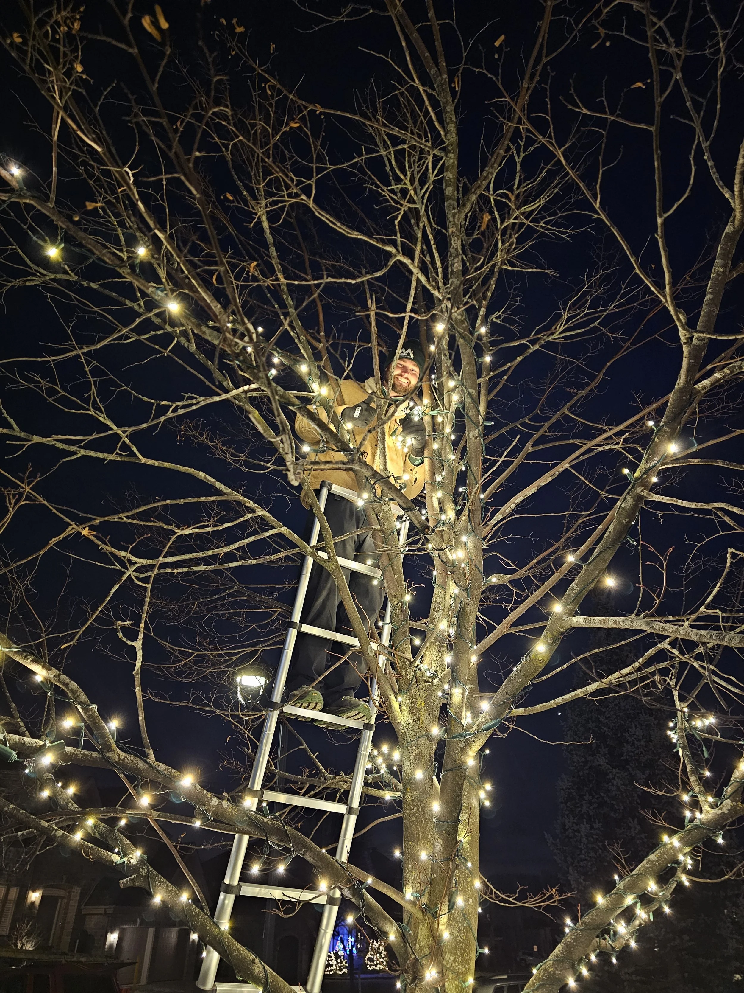 tree trunk and brach wrap 2.jpg