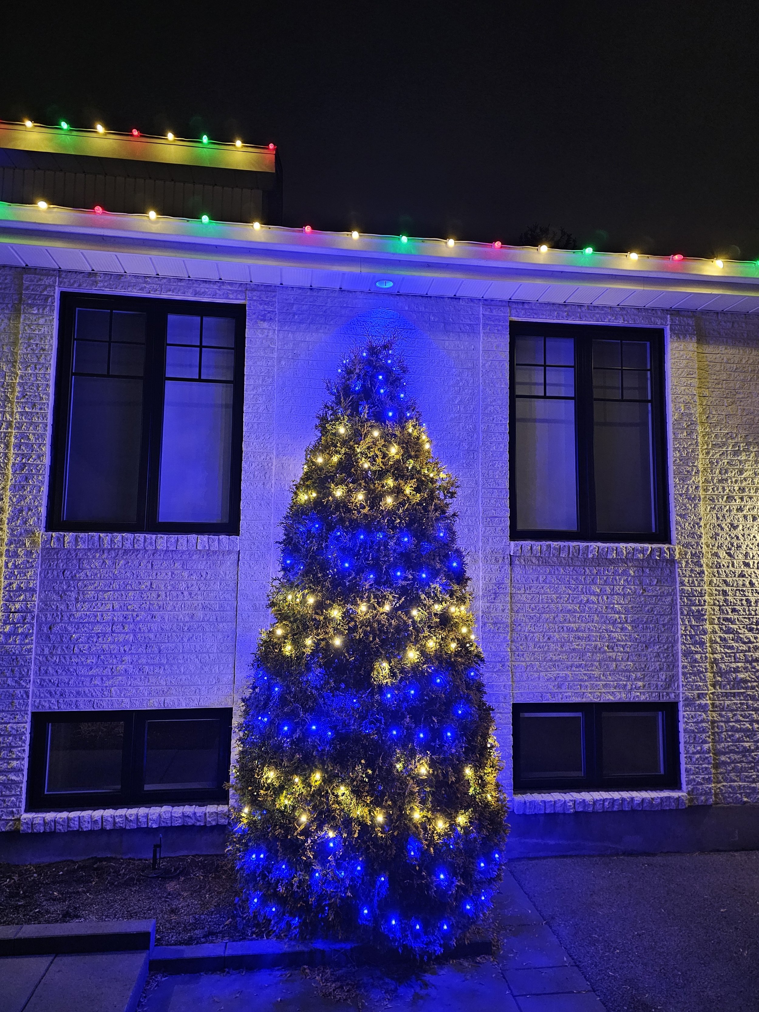 White & Blue Hedge.jpg