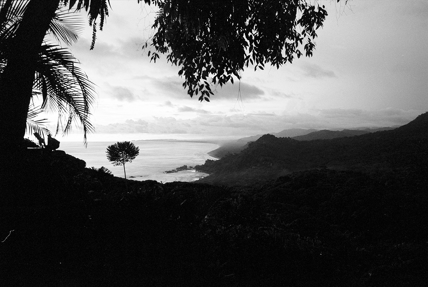 Black and white landscape photo of a coastal view with trees, mountains, and ocean in the distance.