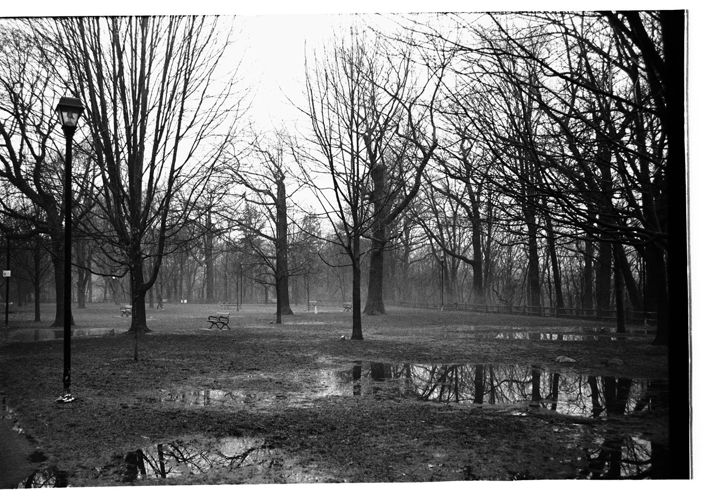 Black and white photograph of a park with leafless trees, benches, a street lamp, puddles, and a paved pathway, under an overcast sky.