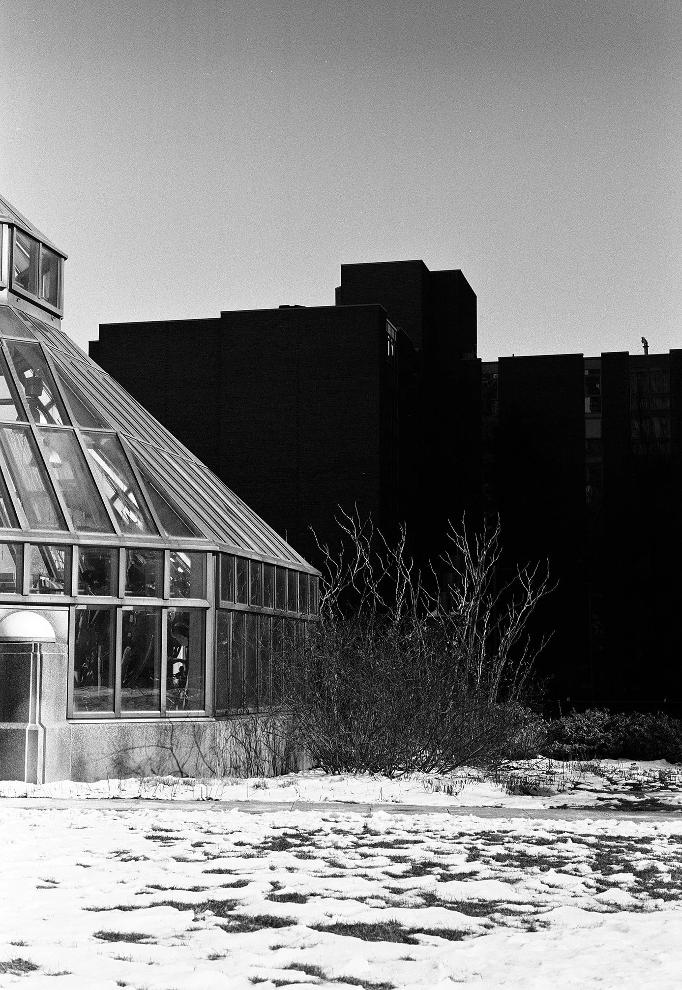 Black and white photo of a modern glass greenhouse structure with snow-covered ground in the foreground, bare trees, and tall dark apartment buildings in the background under a clear sky.