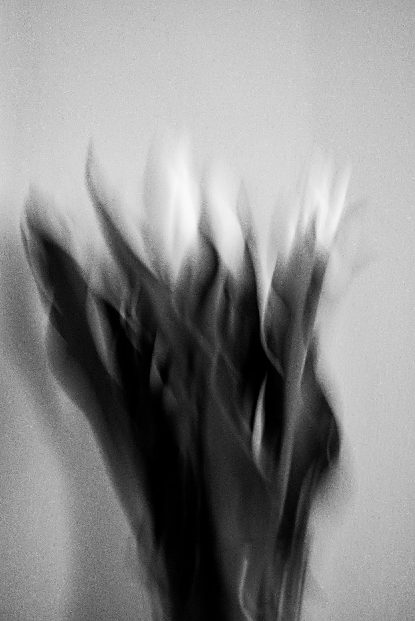 Black and white image of a blurred bouquet of flowers