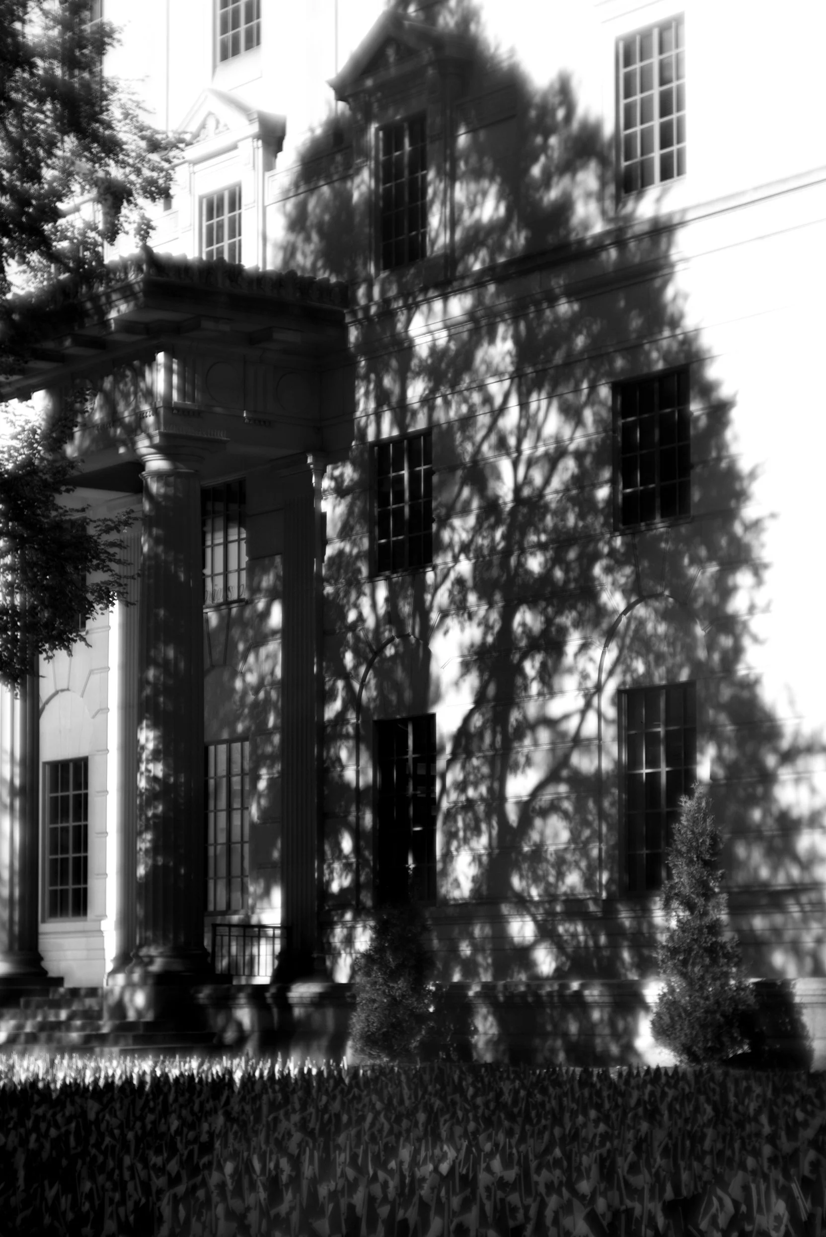 Black-and-white photo of a large house with trees casting shadows on its facade.
