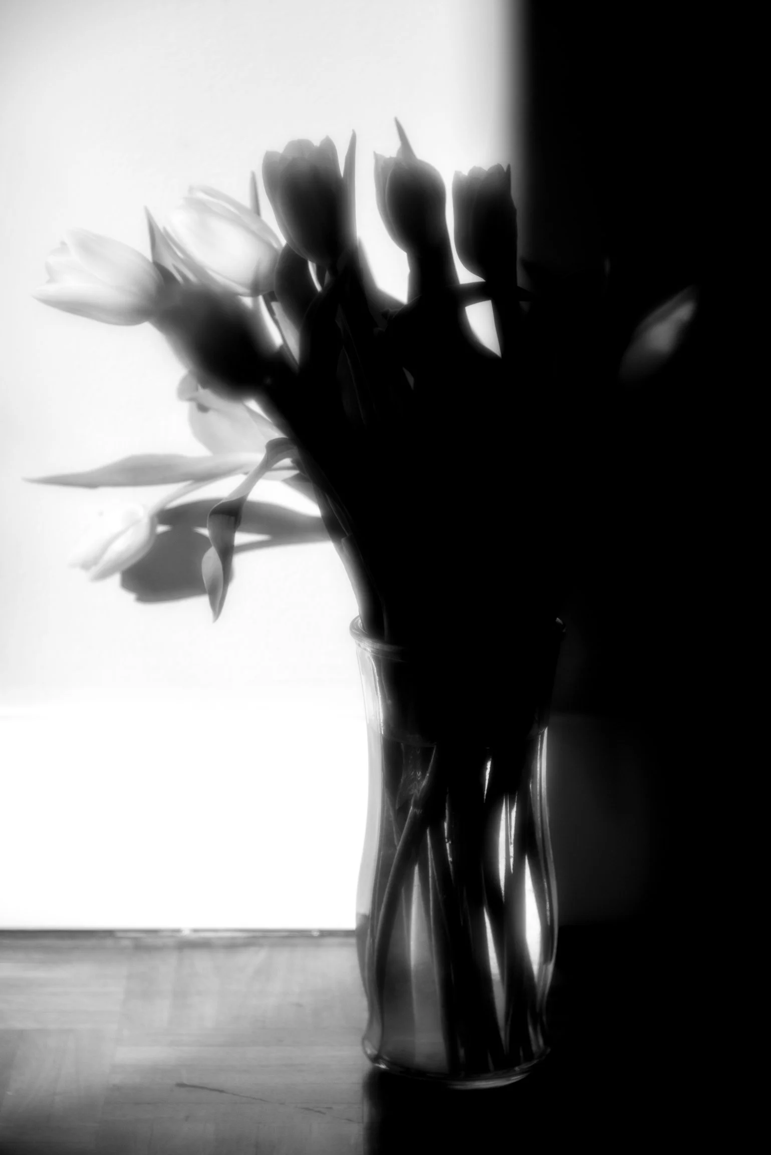 Silhouetted bouquet of flowers in a glass vase on a table, with light background.