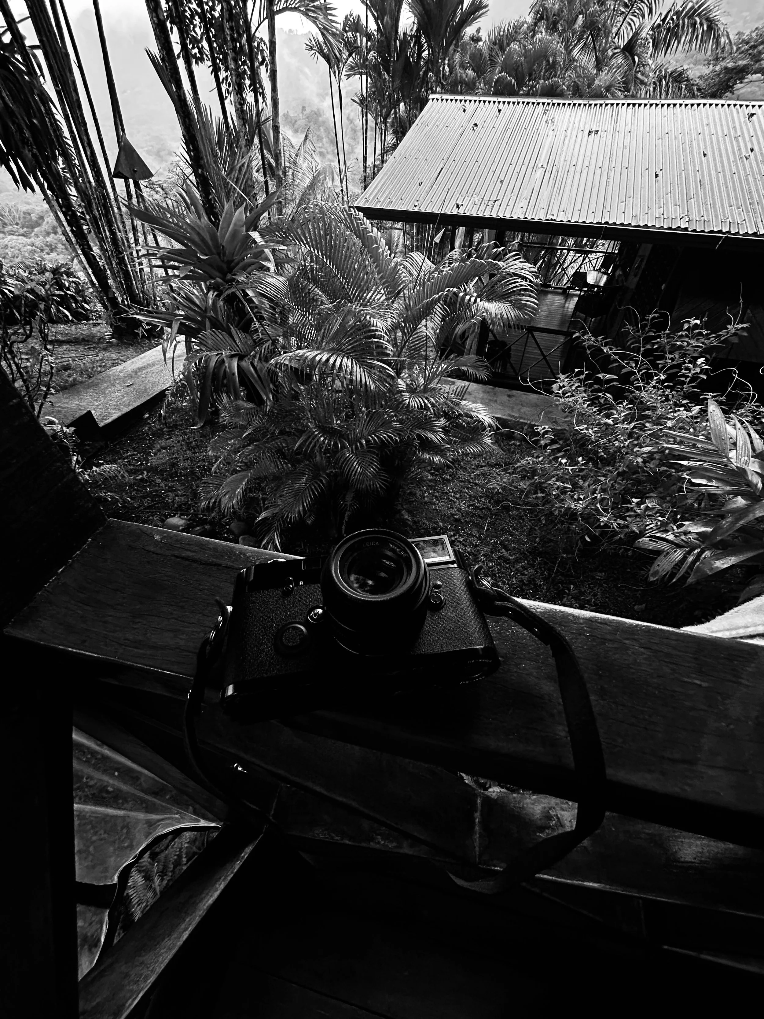 A black and white photo of a camera resting on a wooden railing, overlooking a lush tropical garden with plants and trees, and a small house or cabin with a corrugated metal roof in the background.