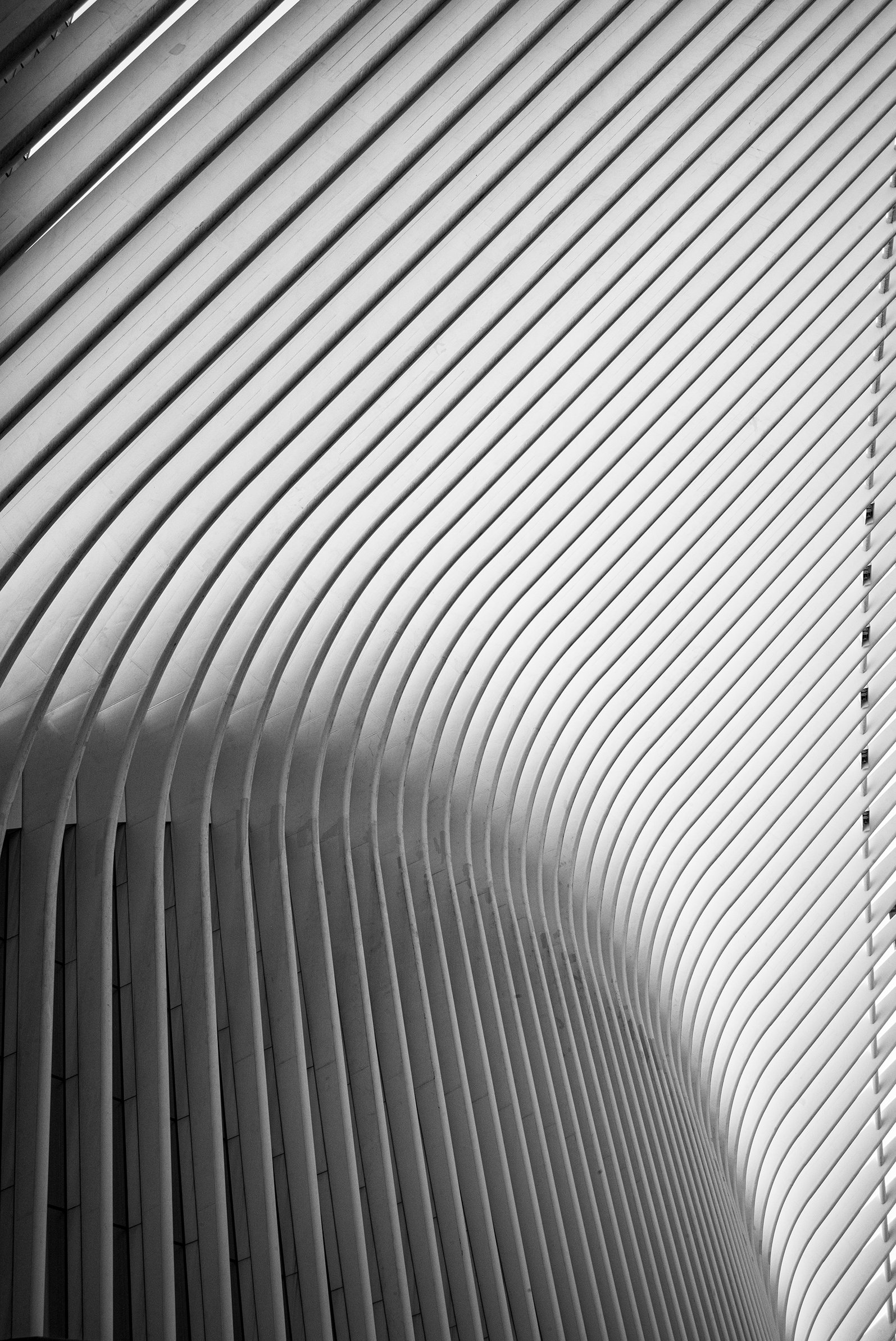 Curved architectural white metal structure with parallel slats forming a wave pattern.