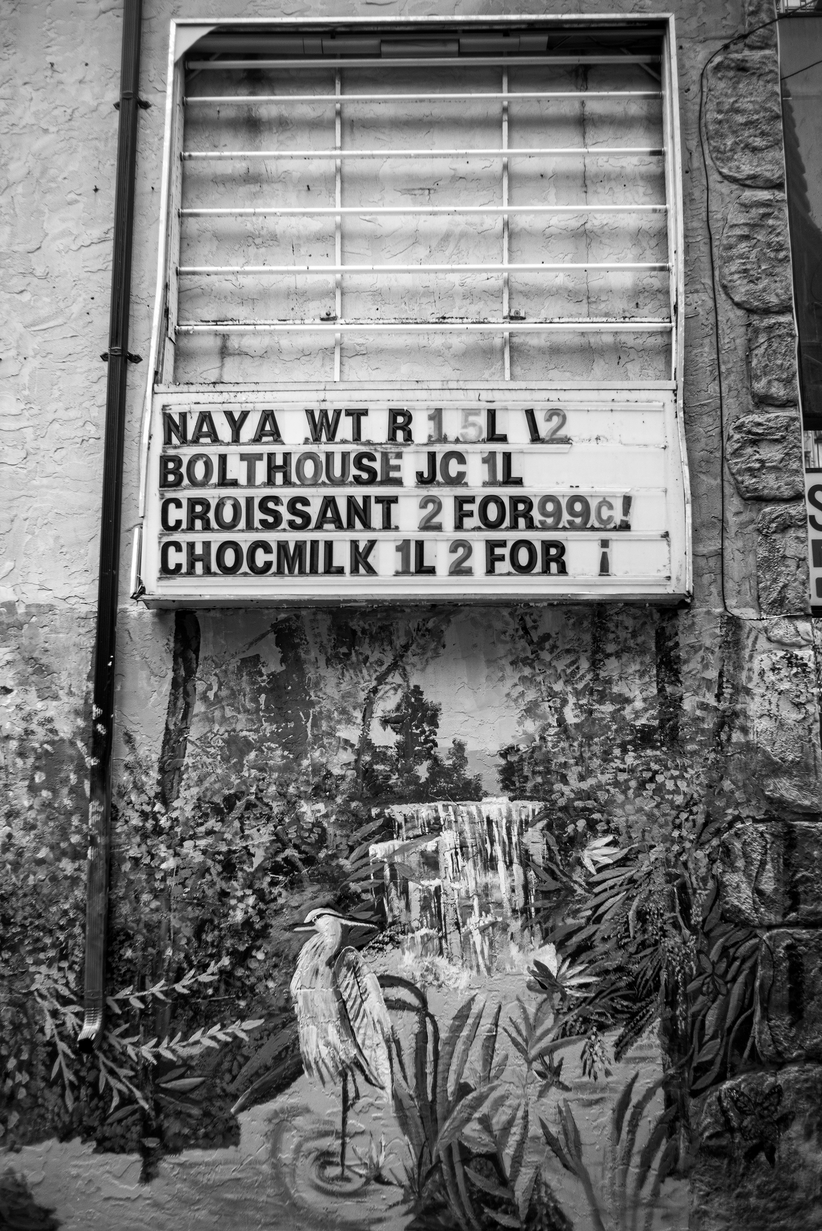 A black-and-white photo of an old outdoor storefront sign with a painted mural of a heron standing near a waterfall and tropical plants on the wall below the sign.