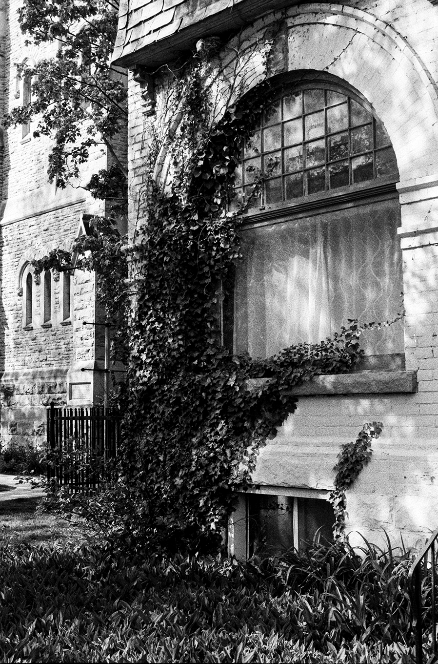 A black-and-white photo of a brick building with an arched window on the second floor, partially covered by climbing ivy. The building has other smaller arched windows and a small garden with plants in the foreground.