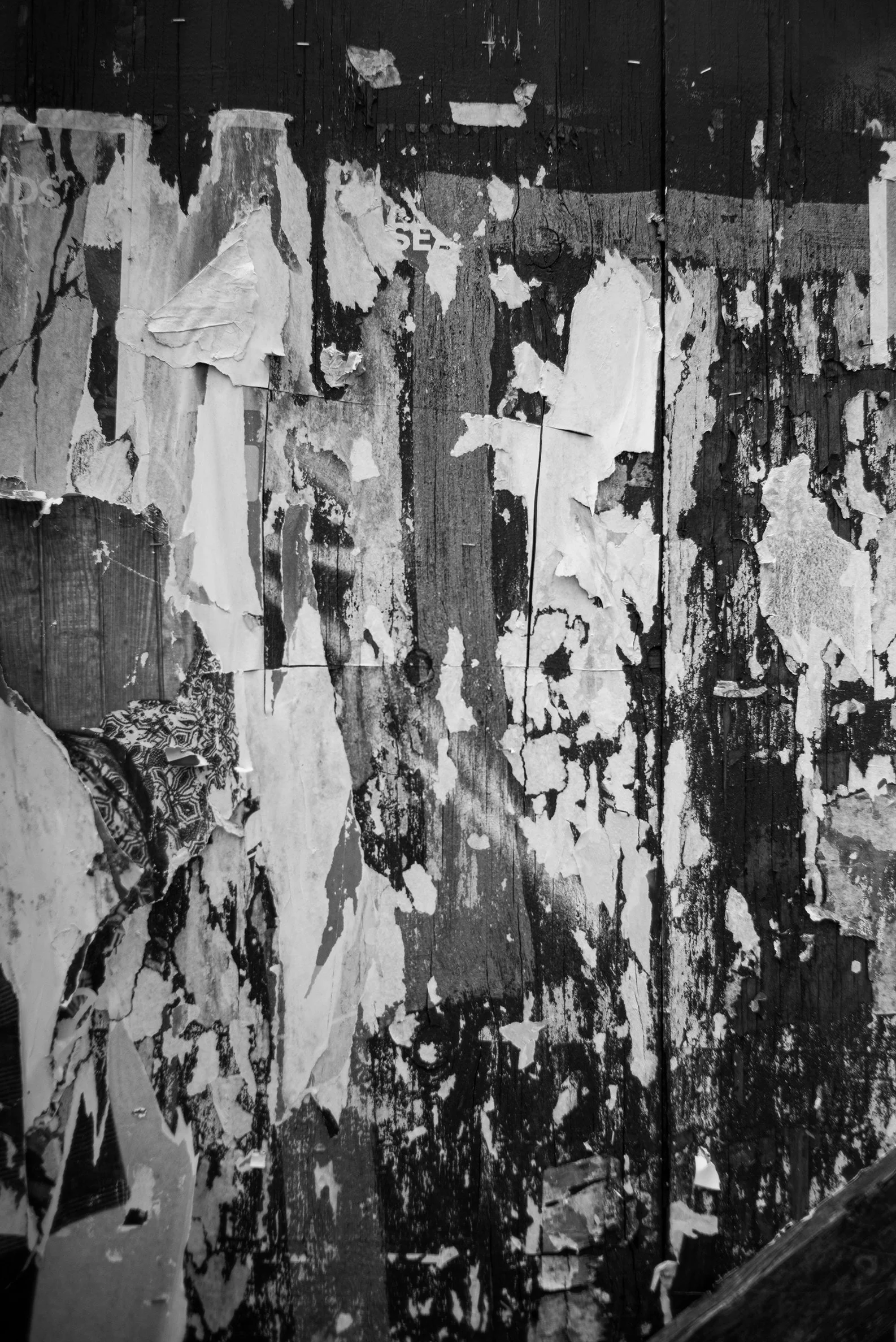 Black and white photo of old, peeling wallpaper on a wooden wall.
