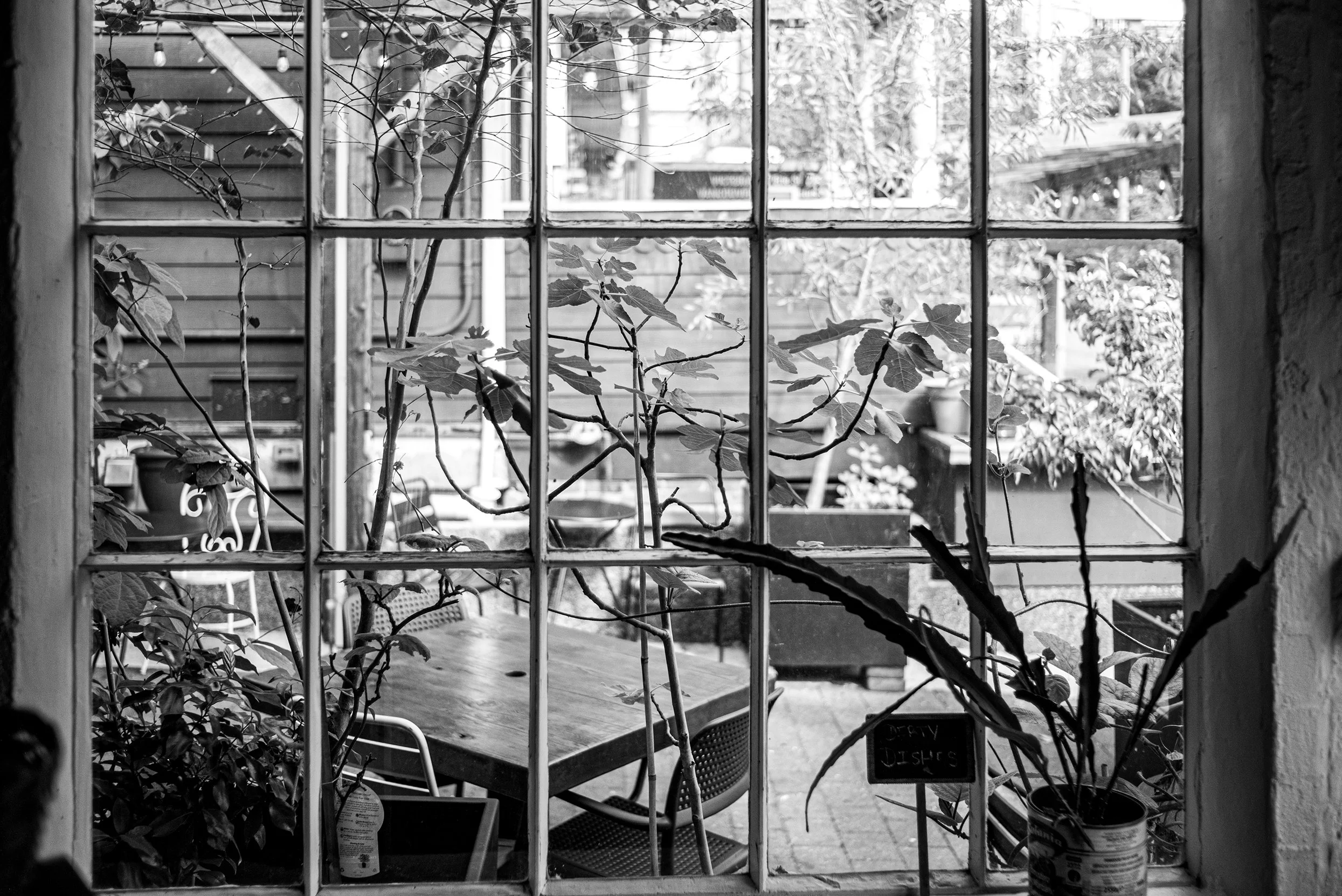 View through a window showing an outdoor patio with a table and chairs, plants, and garden furniture in the background.
