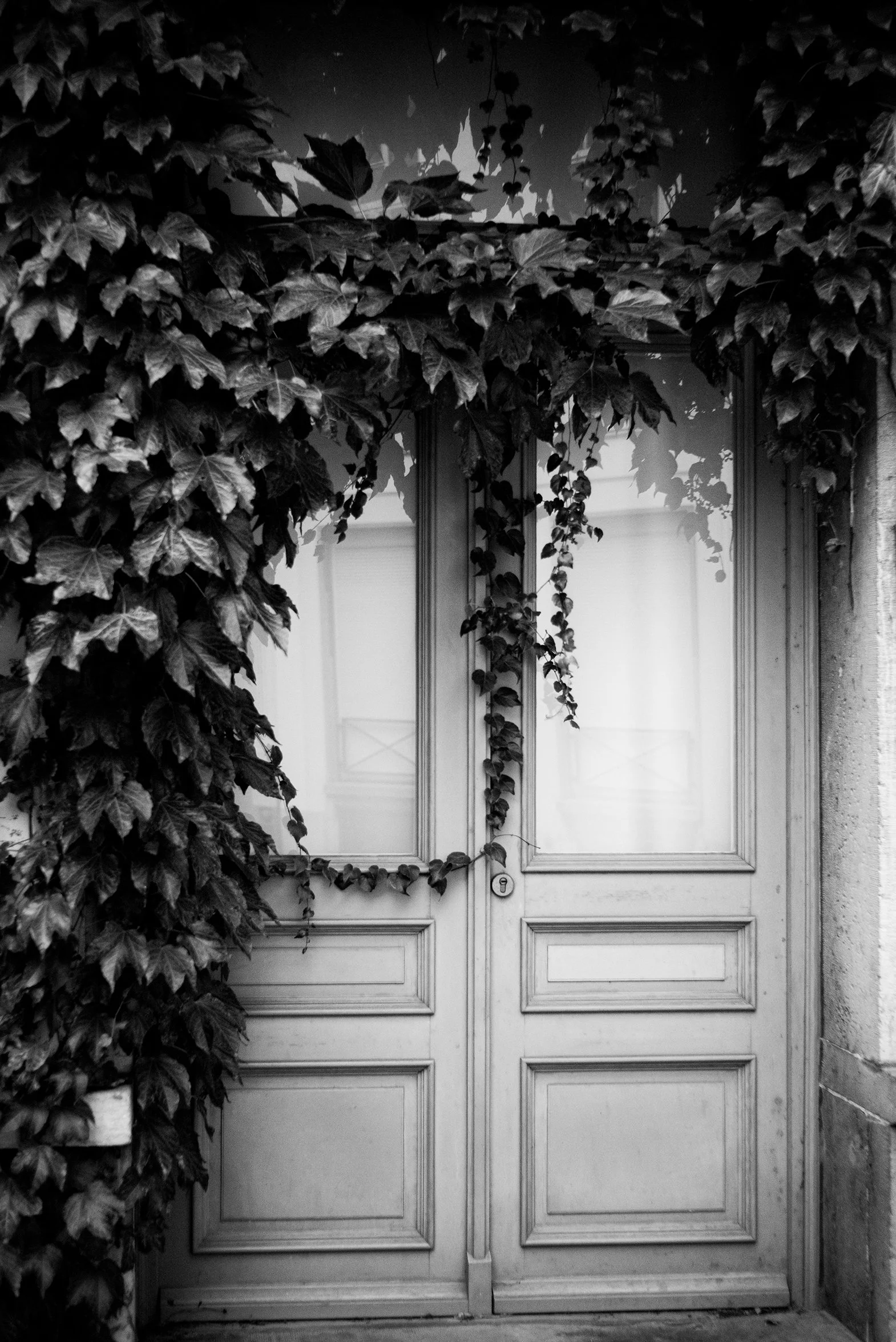 A pair of wooden double doors with window panels, framed by dark leafy ivy vines on each side.