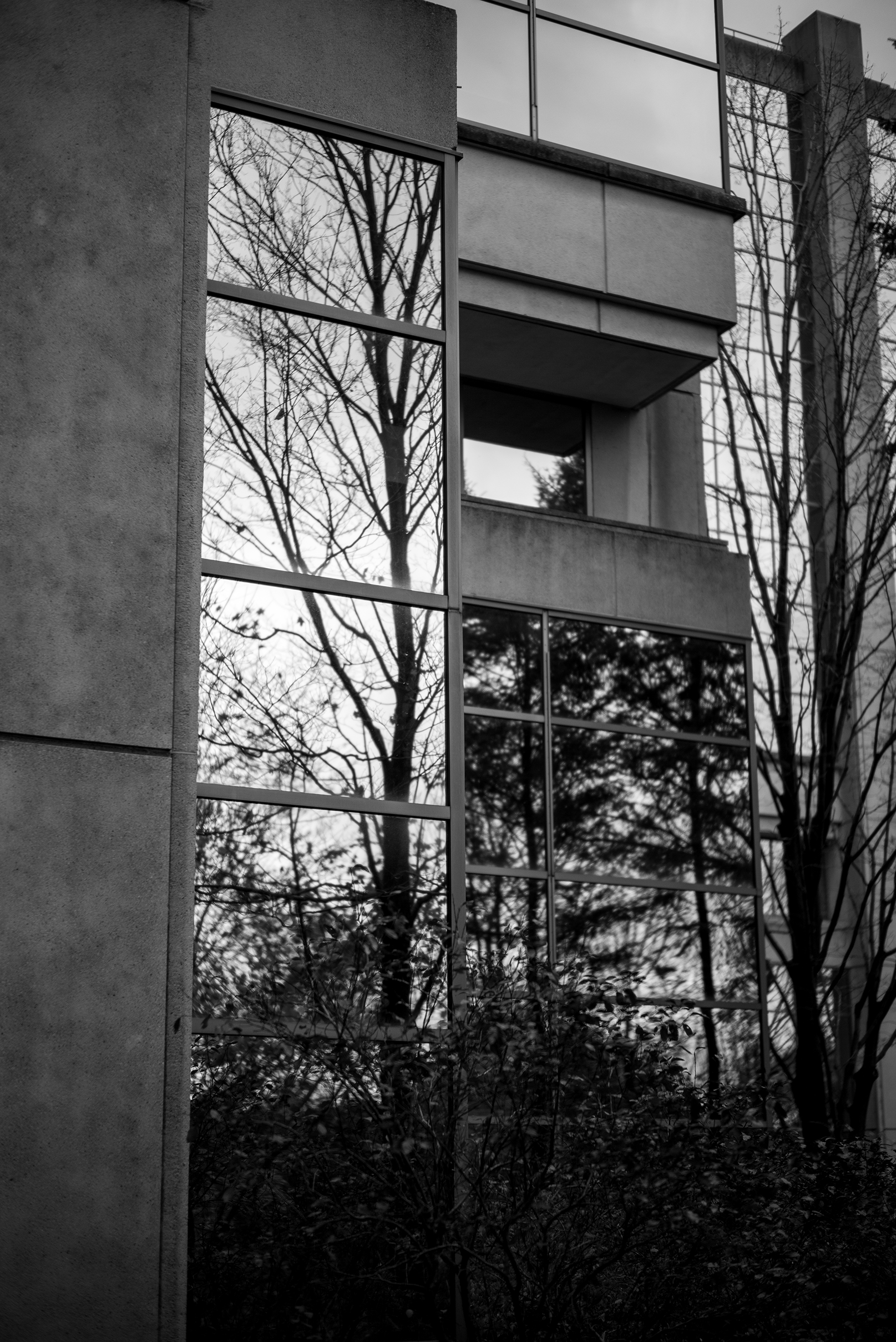 Black and white photo of modern building with large reflective glass windows reflecting trees outside.