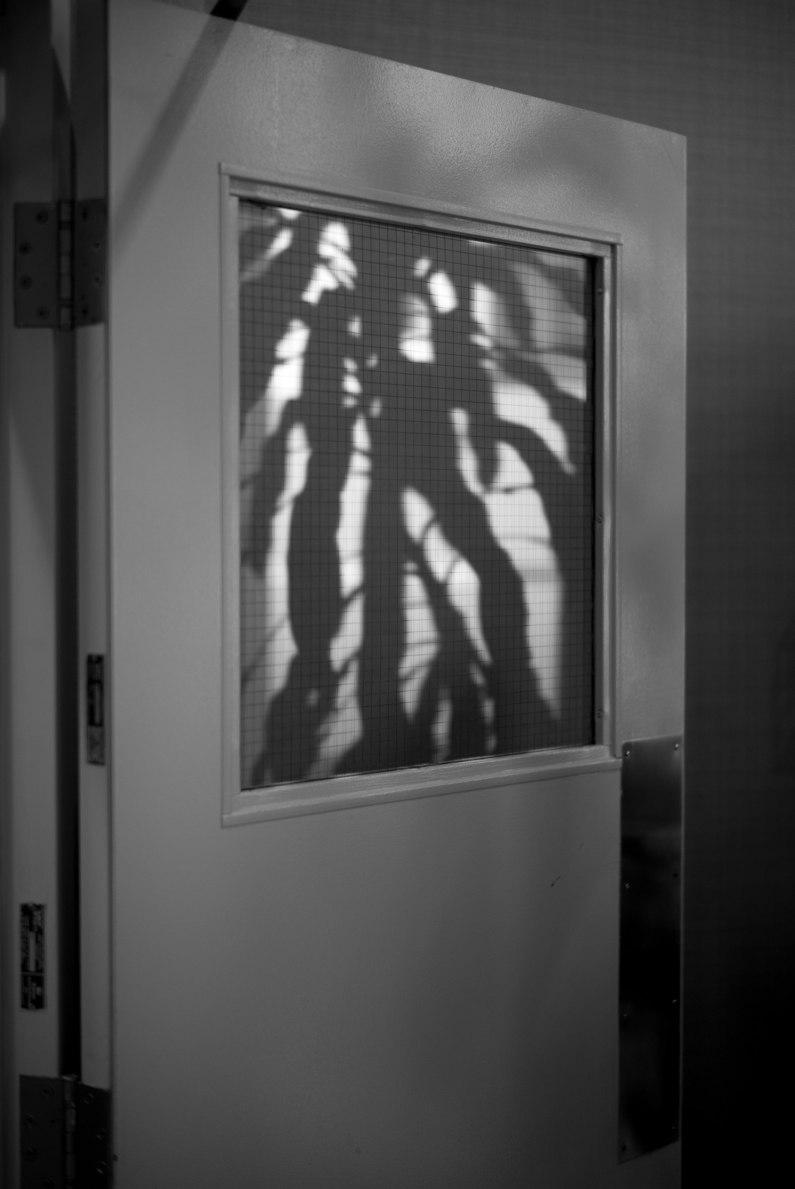 Shadow of two people walking on a wire mesh window.