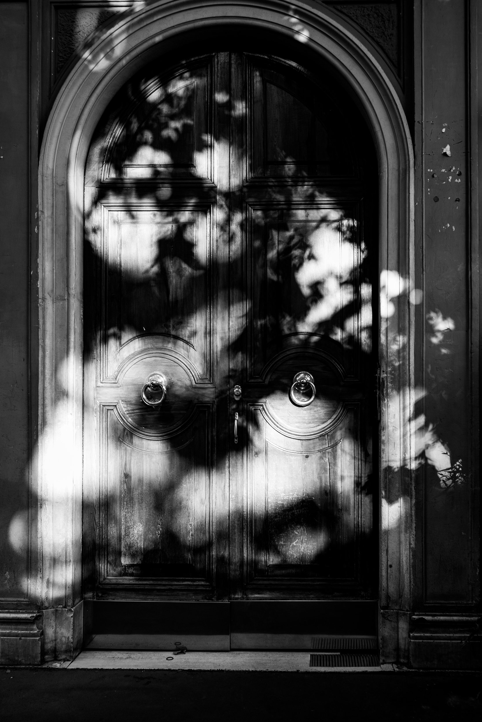 A dark wooden door with ornate details, set within an arched doorway, shadowed by leaves and branches creating a pattern of light and dark across the surface.