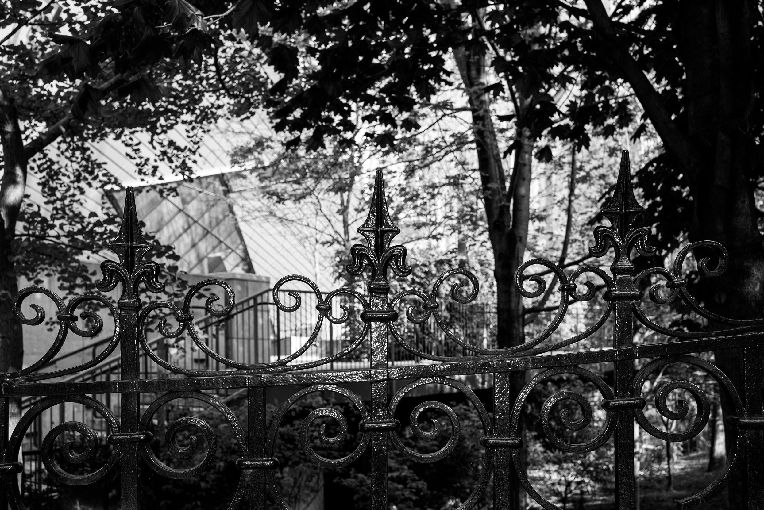 Black and white photo of ornate metal fence with pointed finials, surrounded by trees and foliage, with a modern building and glass structure visible in the background.