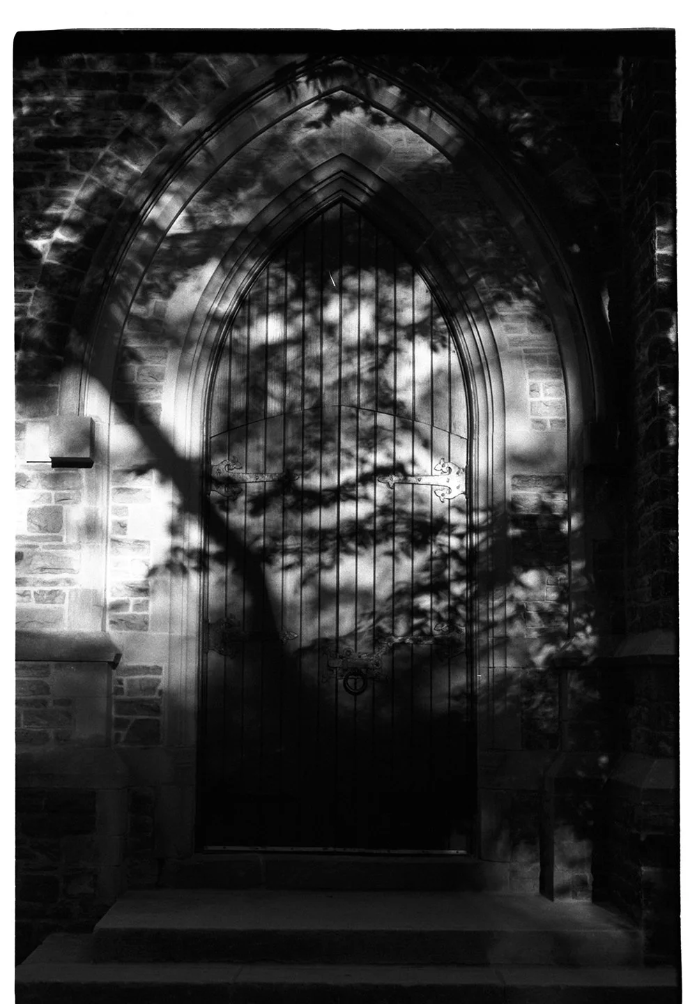 Black and white photo of an arched, wrought iron gate with stone walls on either side, casting shadows of tree branches and clouds.