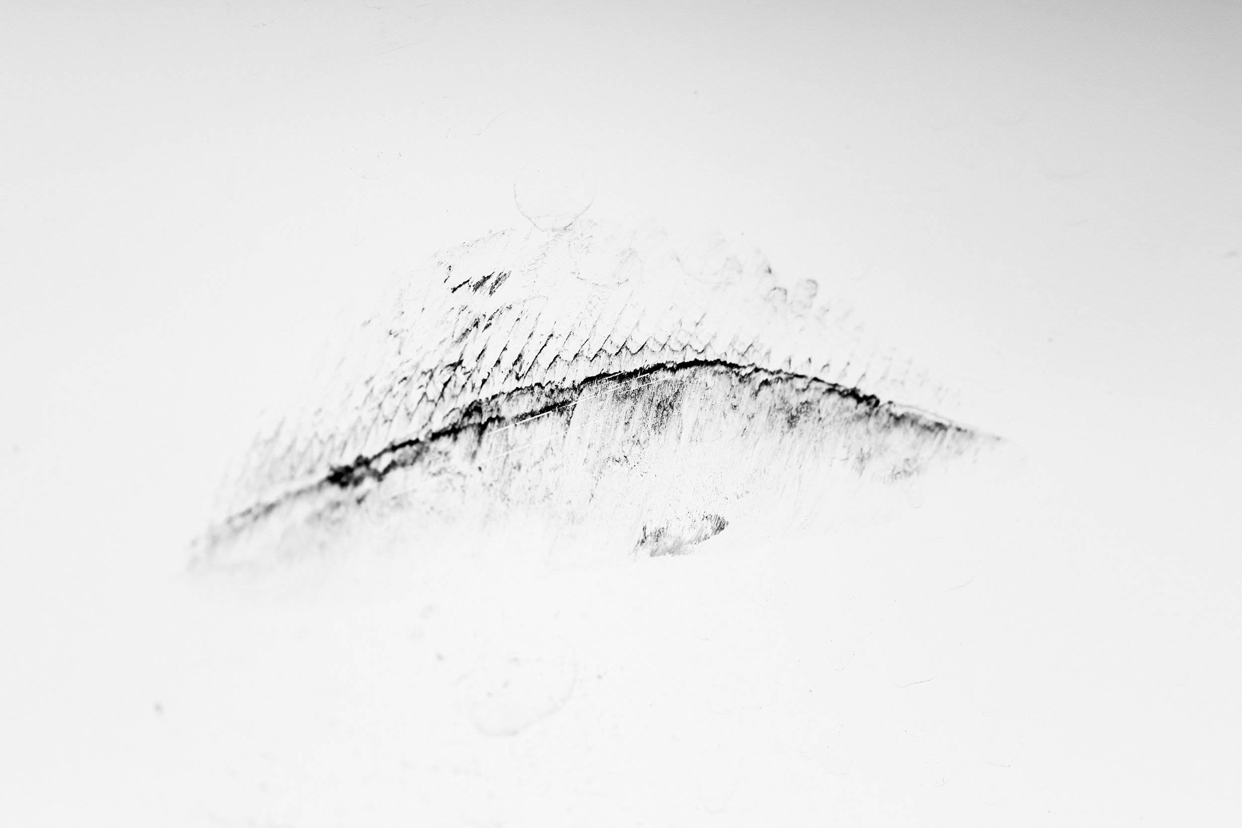Close-up of a textured surface with a curved line and small imperfections.
