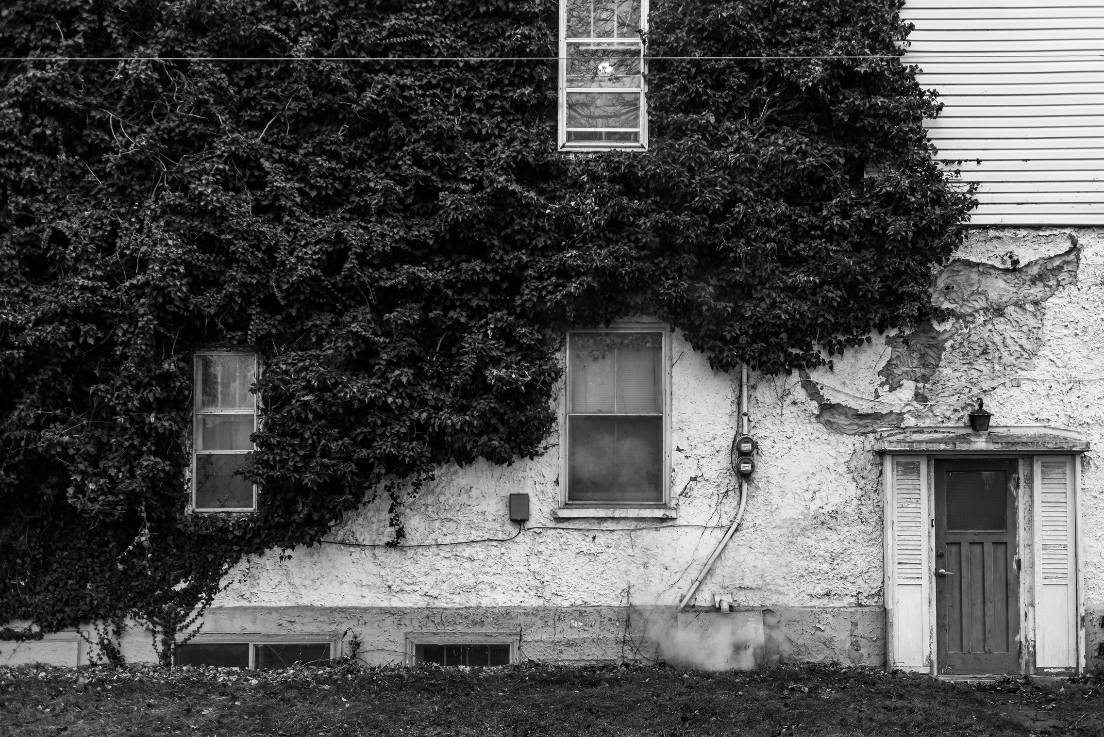 Black and white photo of a house's exterior wall covered with overgrown ivy. There are three visible windows, a door with shutters, and two utility meters on the wall. The wall shows signs of wear with peeling paint and cracks.