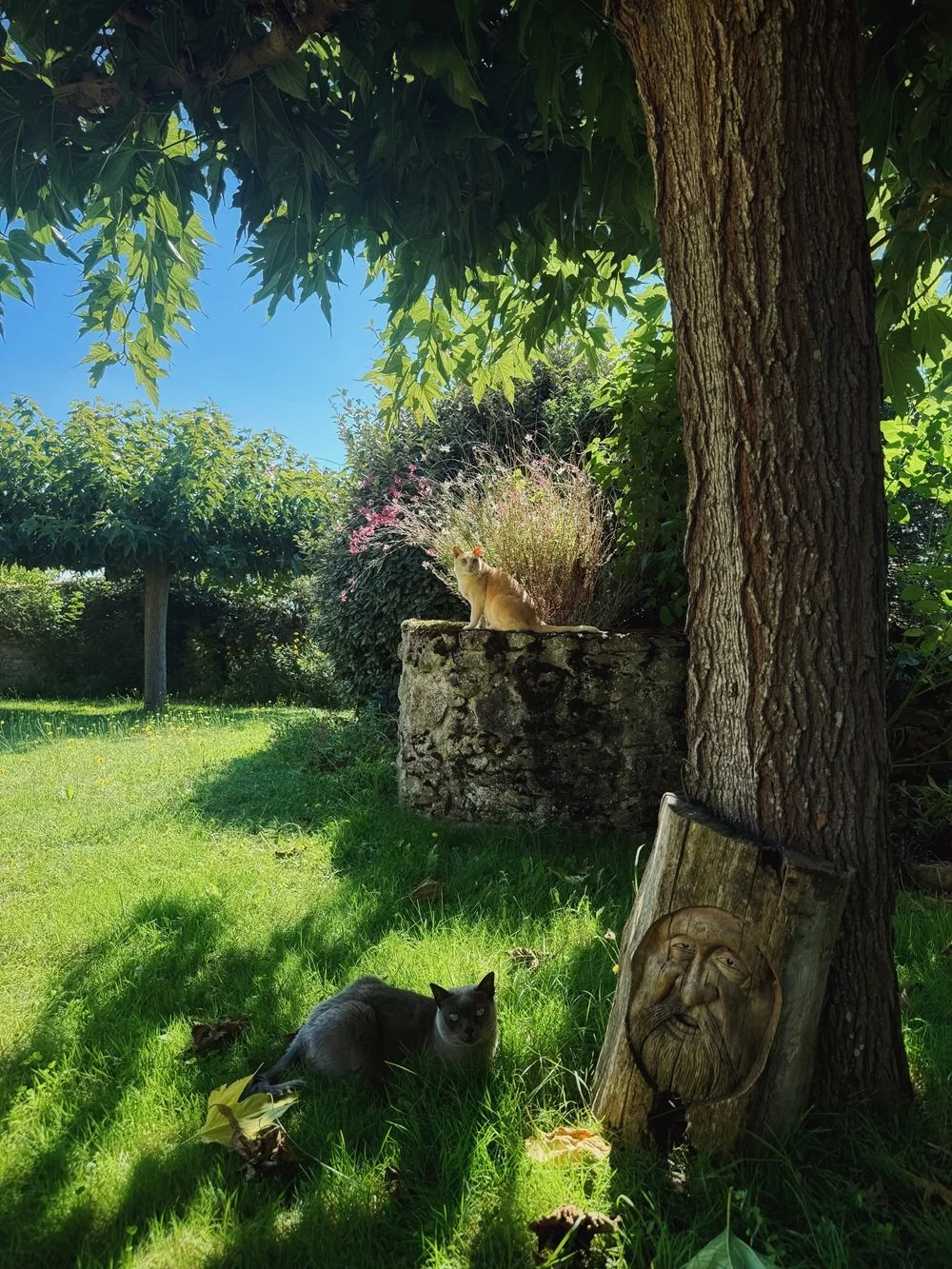 Loustalviel garden with lush greenery and stone well