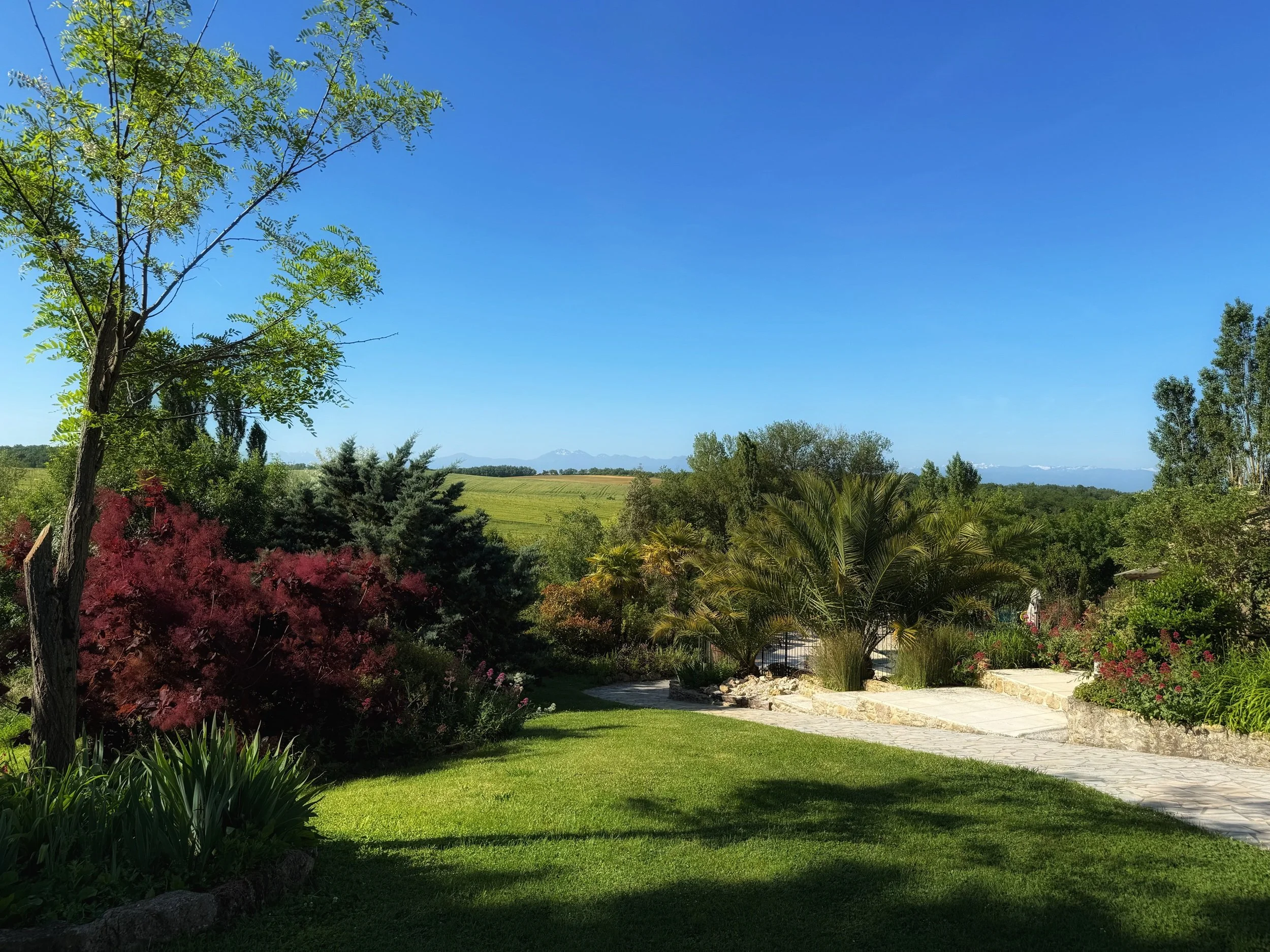 Loustal-Beau-view.jpg