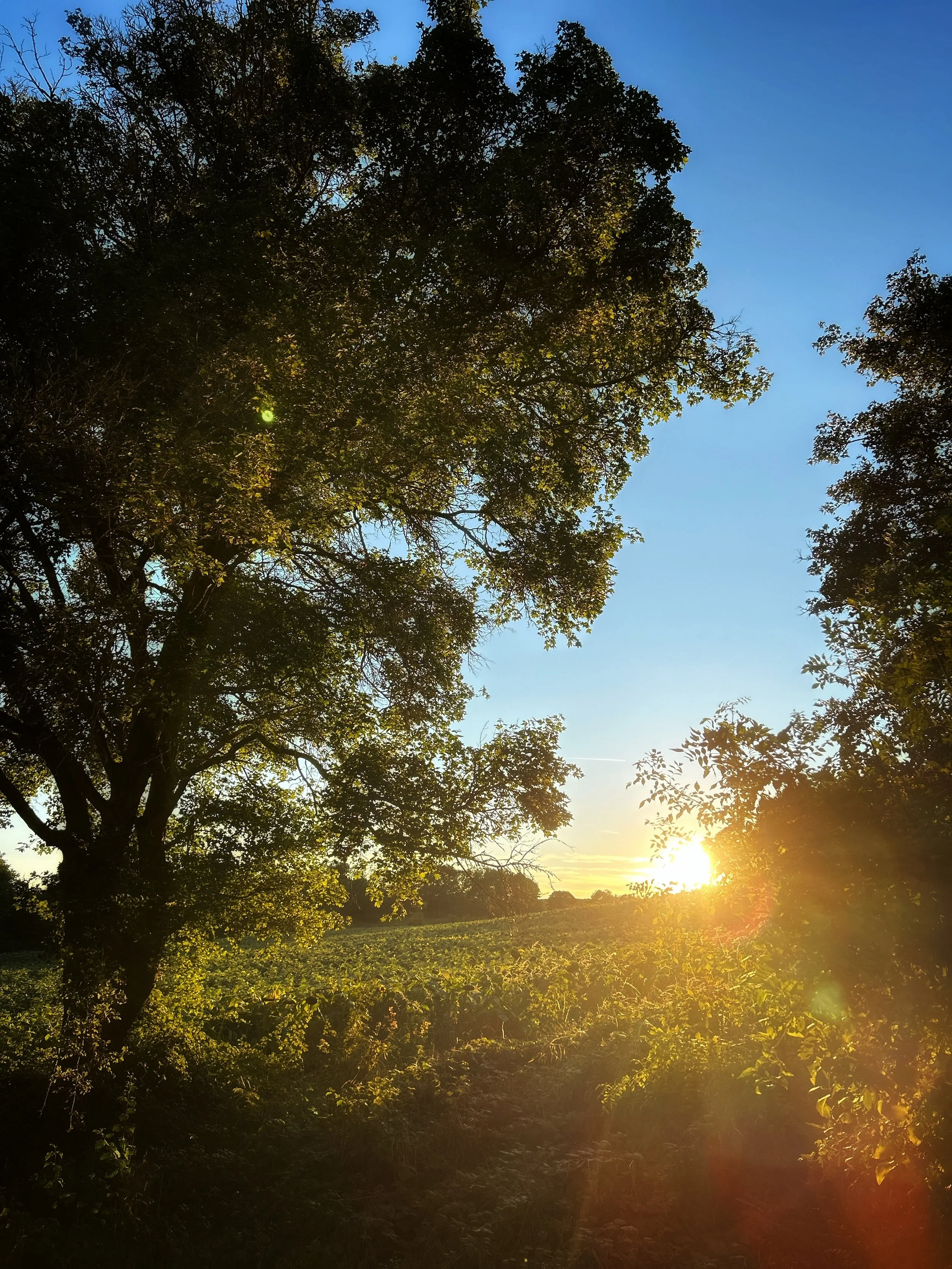 Sunset from Le Domaine de Loustalviel