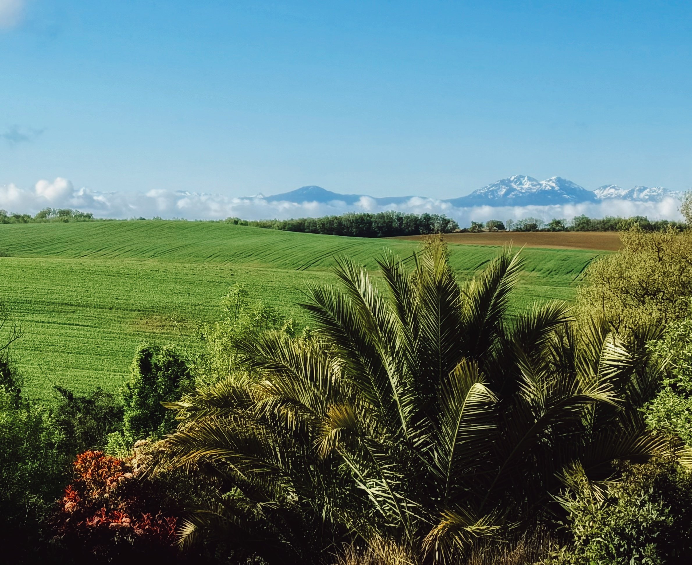 View of the Pyrenees from Loustal Beau