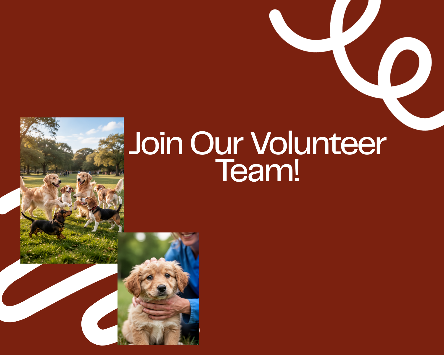 Welfare for Animals Guild | Support Animal Welfare Today