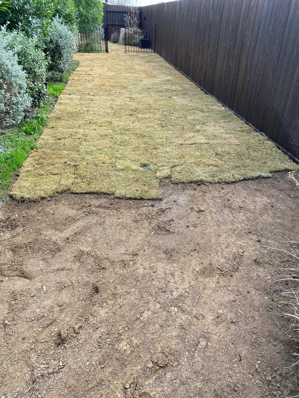 Sod Installation & Lawn Repair in Houston Tx area 
