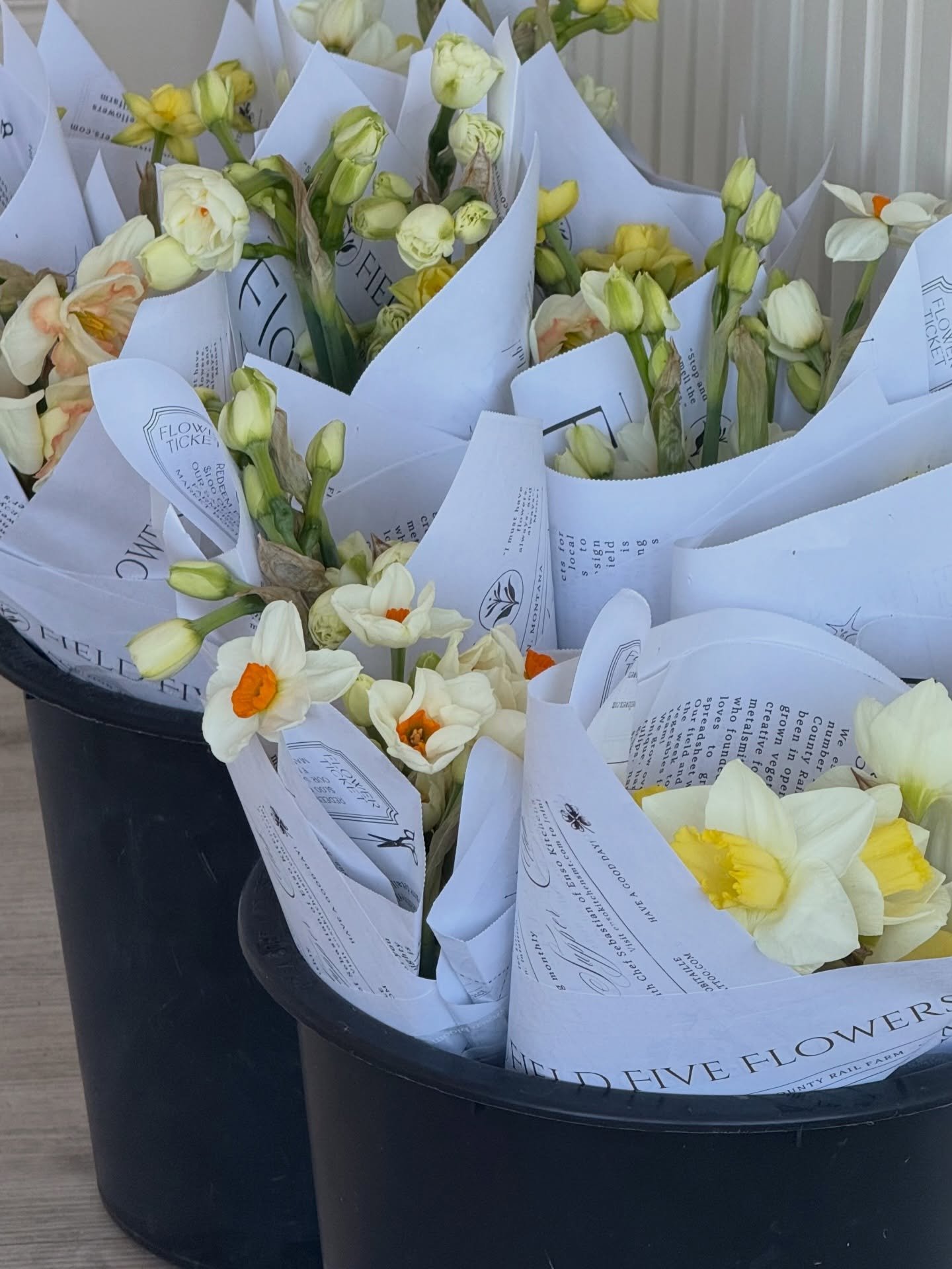 Happy May from @fieldfiveflowers 💐

Our friend Bethany stopped by the studio this morning to drop off these blooms for our morning students. Spring is in the air. 🩵

#missoulacommunity #missoulamt #pilatescommunity