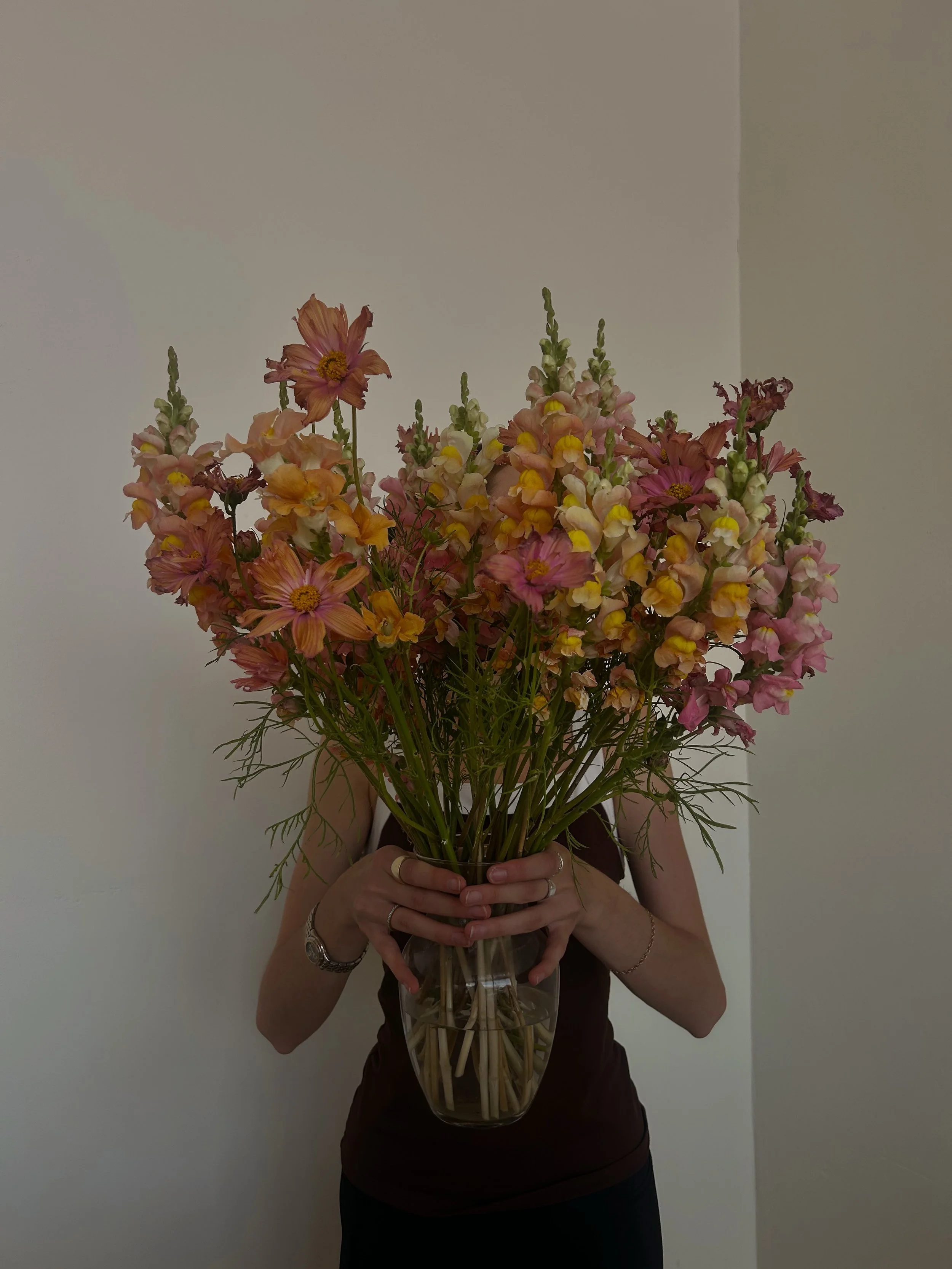feeling immense gratitude towards @fieldfiveflowers for keeping our space bright &amp; happy all year round 🌱